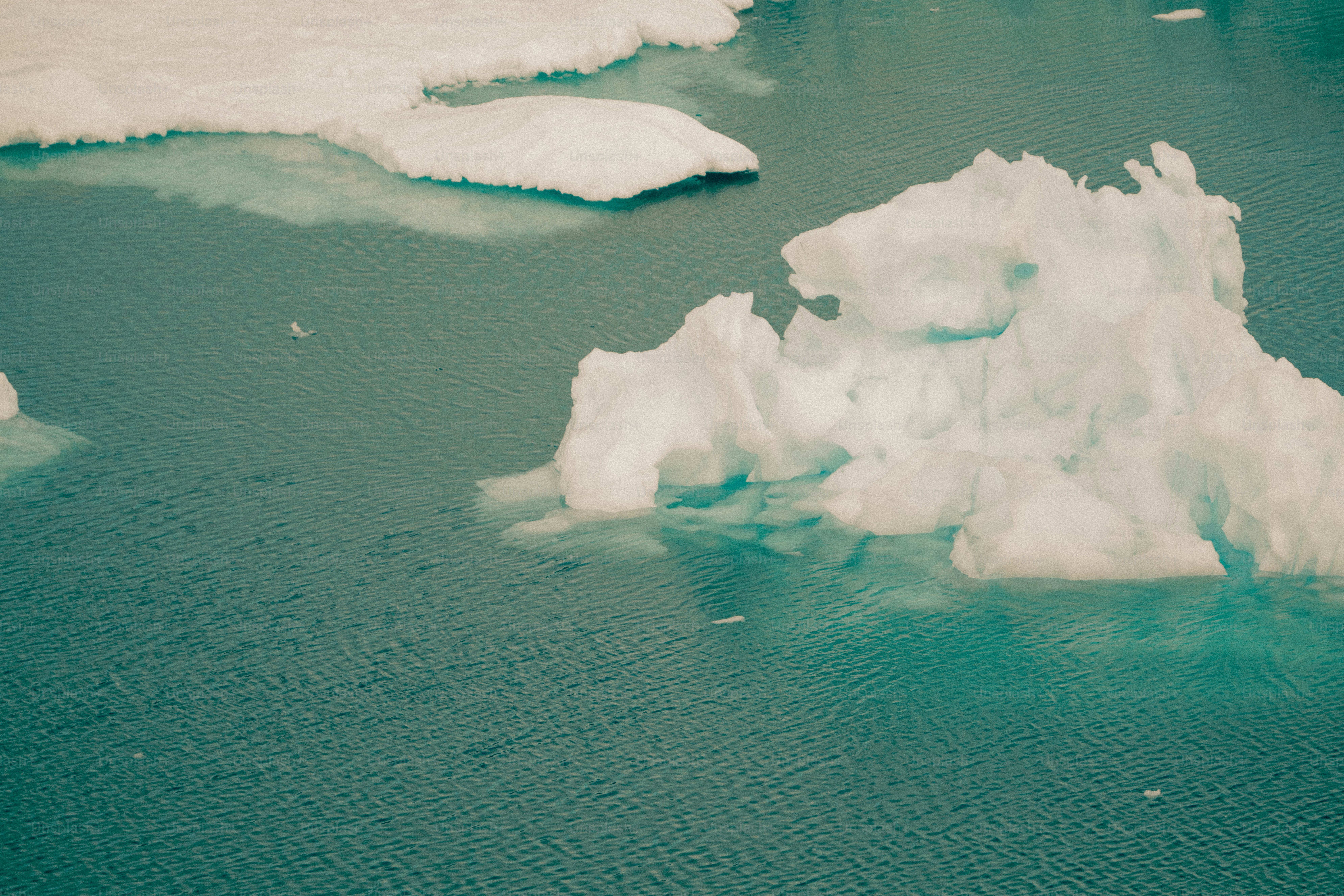 Icebergs floating in turquoise ocean water