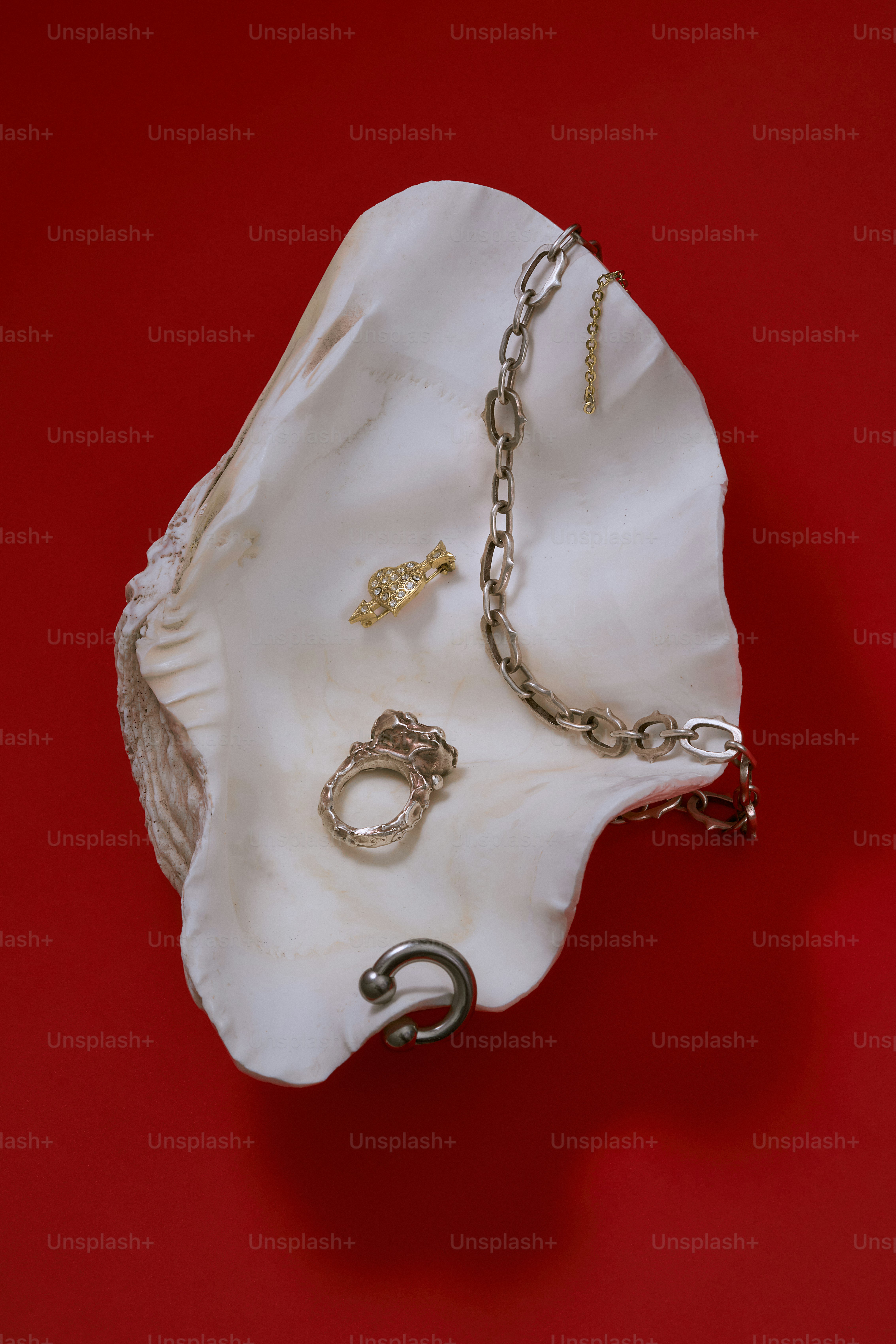 Jewelry displayed inside a large seashell on red background