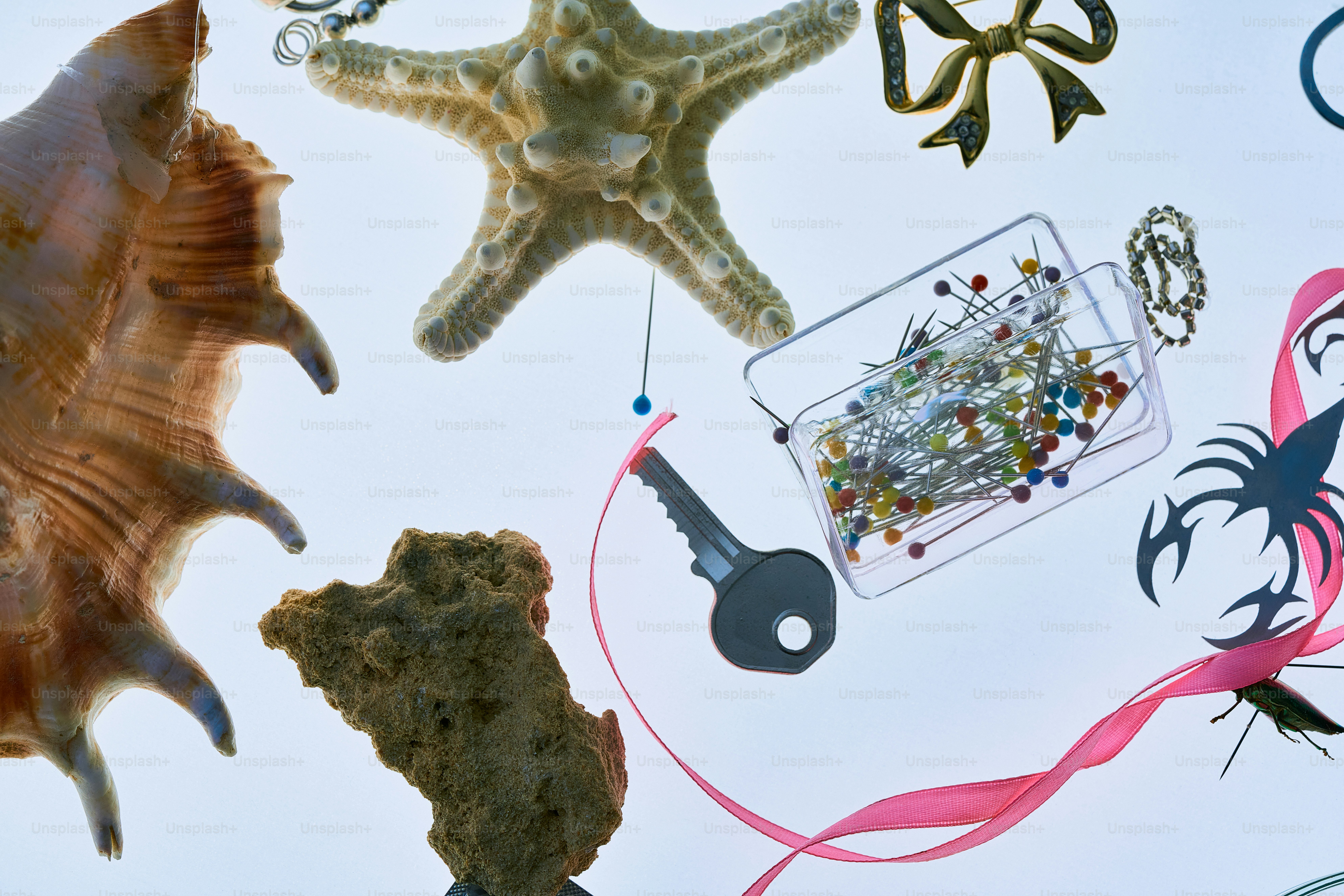 Assortment of objects including a starfish, shell, and key.