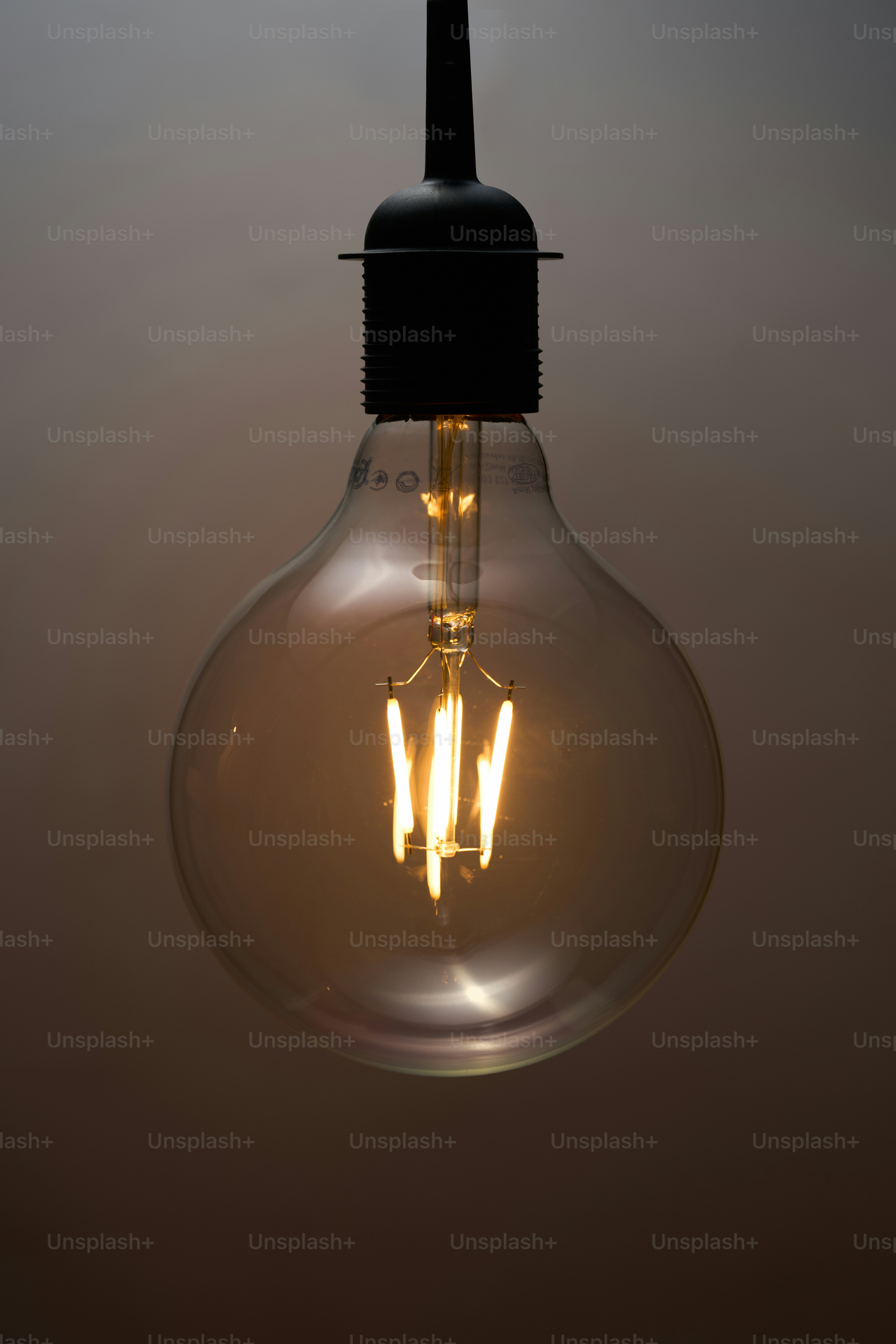 A close-up of a vintage edison light bulb.