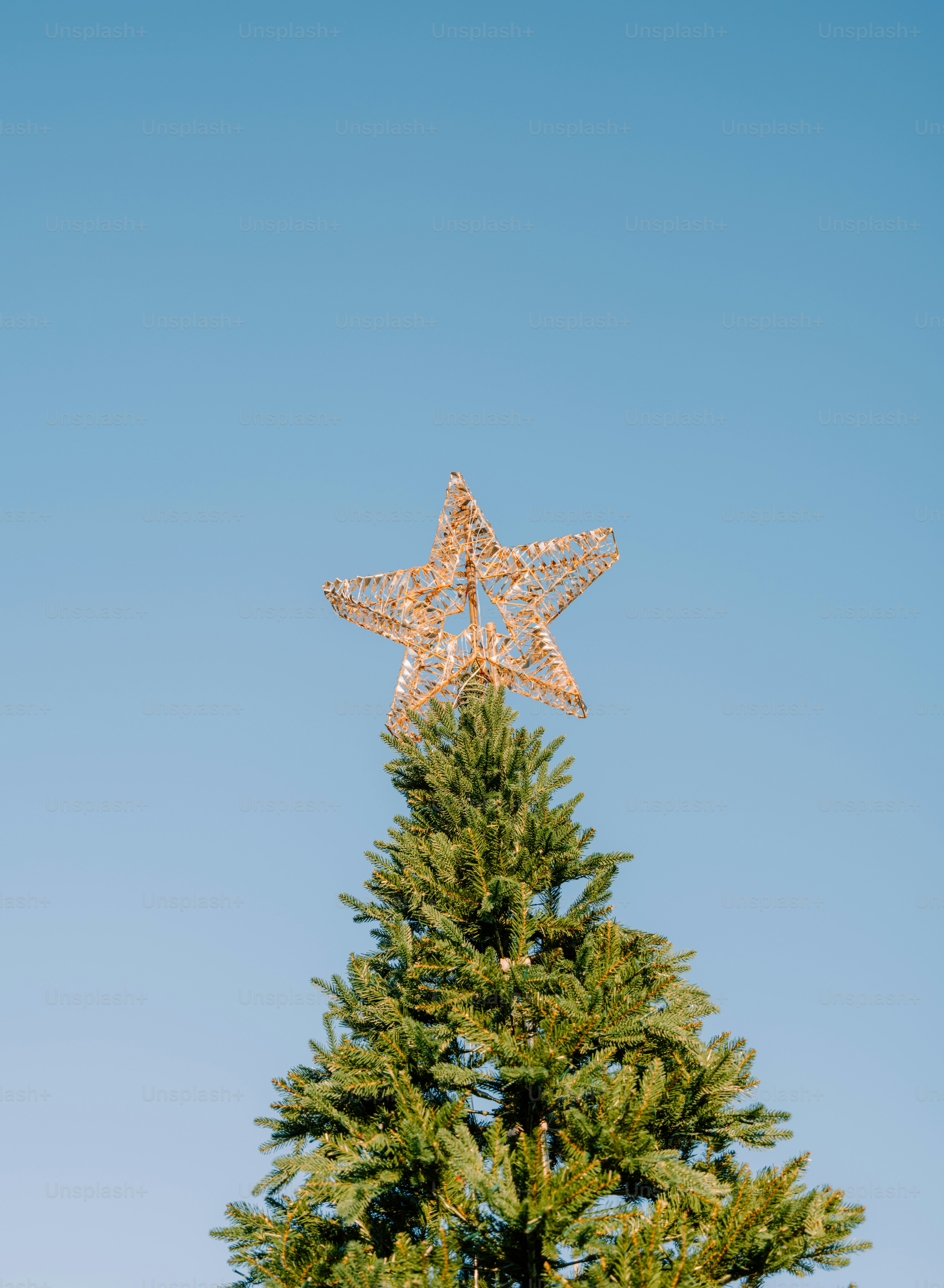 A lit star adorns the top of a christmas tree.
