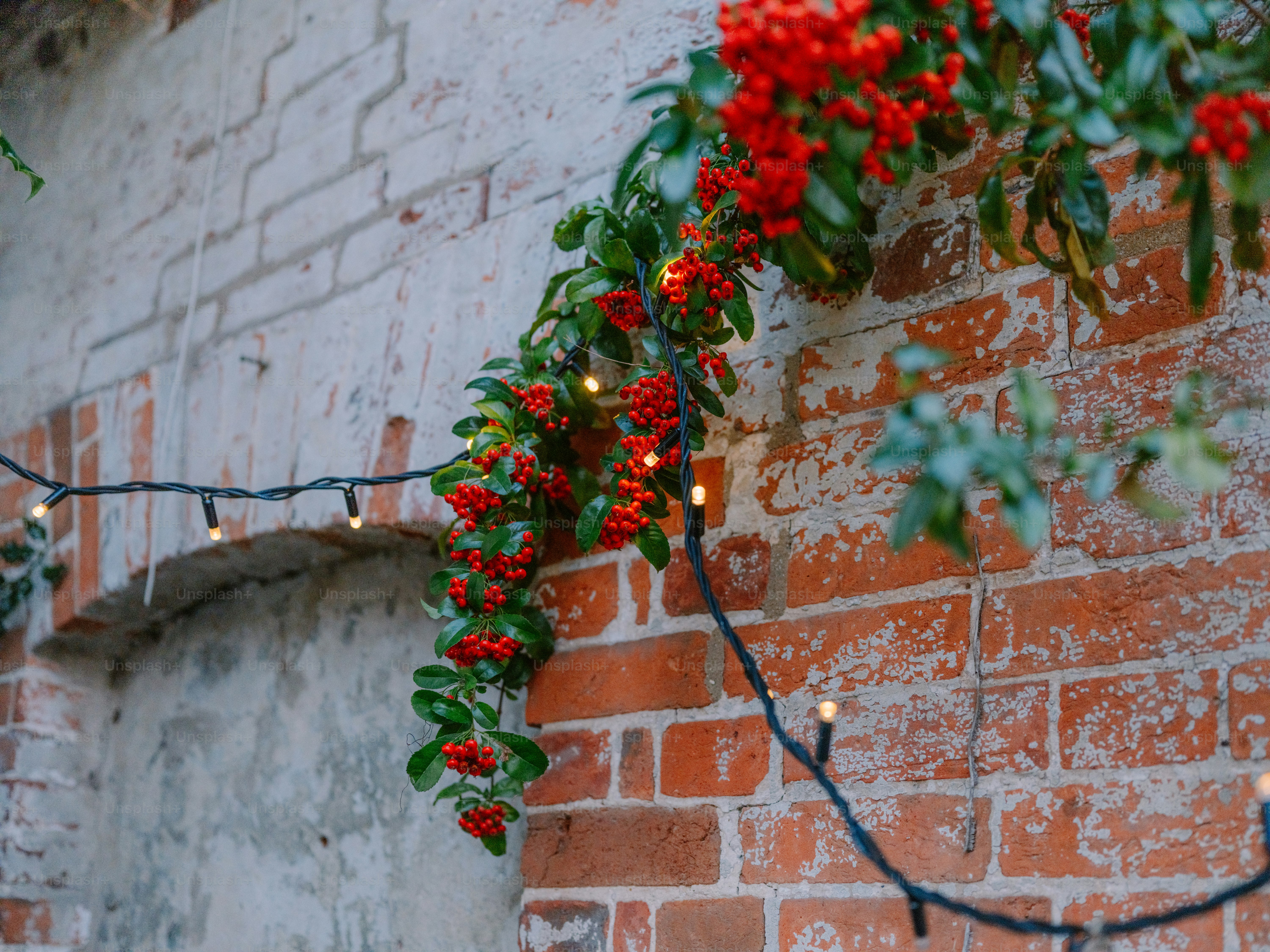 Red berries and string lights on brick wall