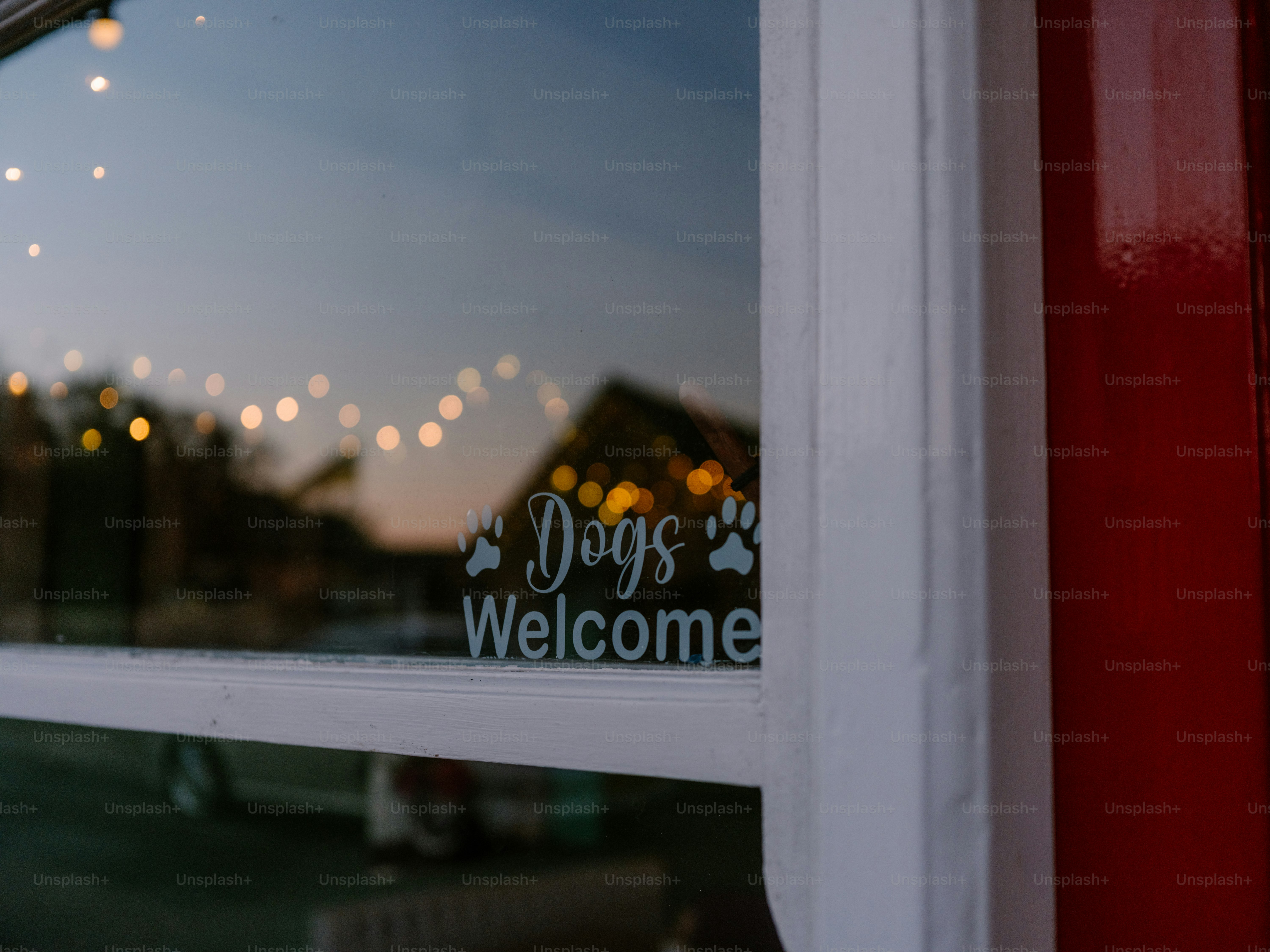 Cartel de perros bienvenidos en una ventana