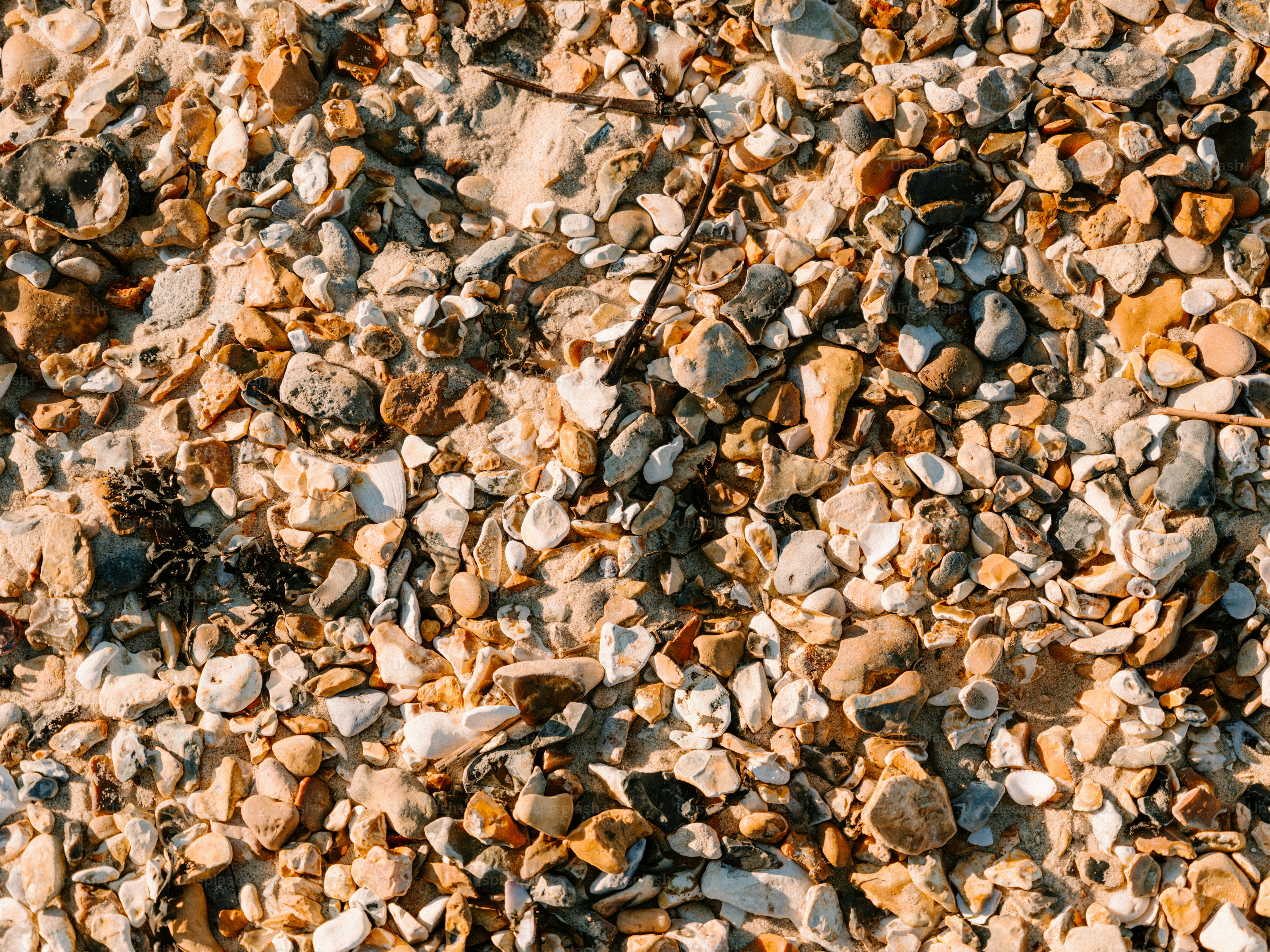 Close-up pantai bertekstur dengan kerikil dan kerang.