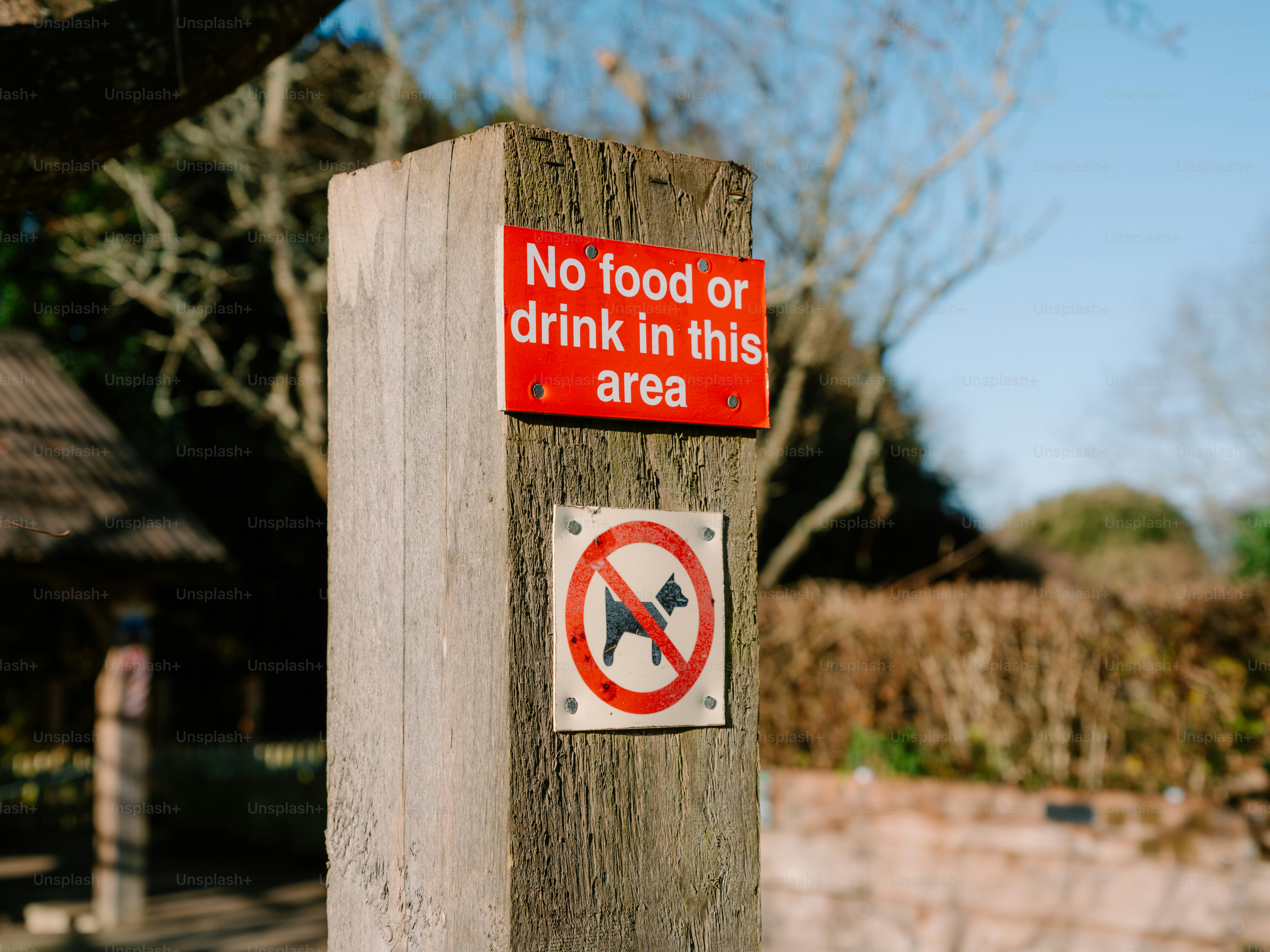 Poste de madera sin comida, bebida ni señales para perros.
