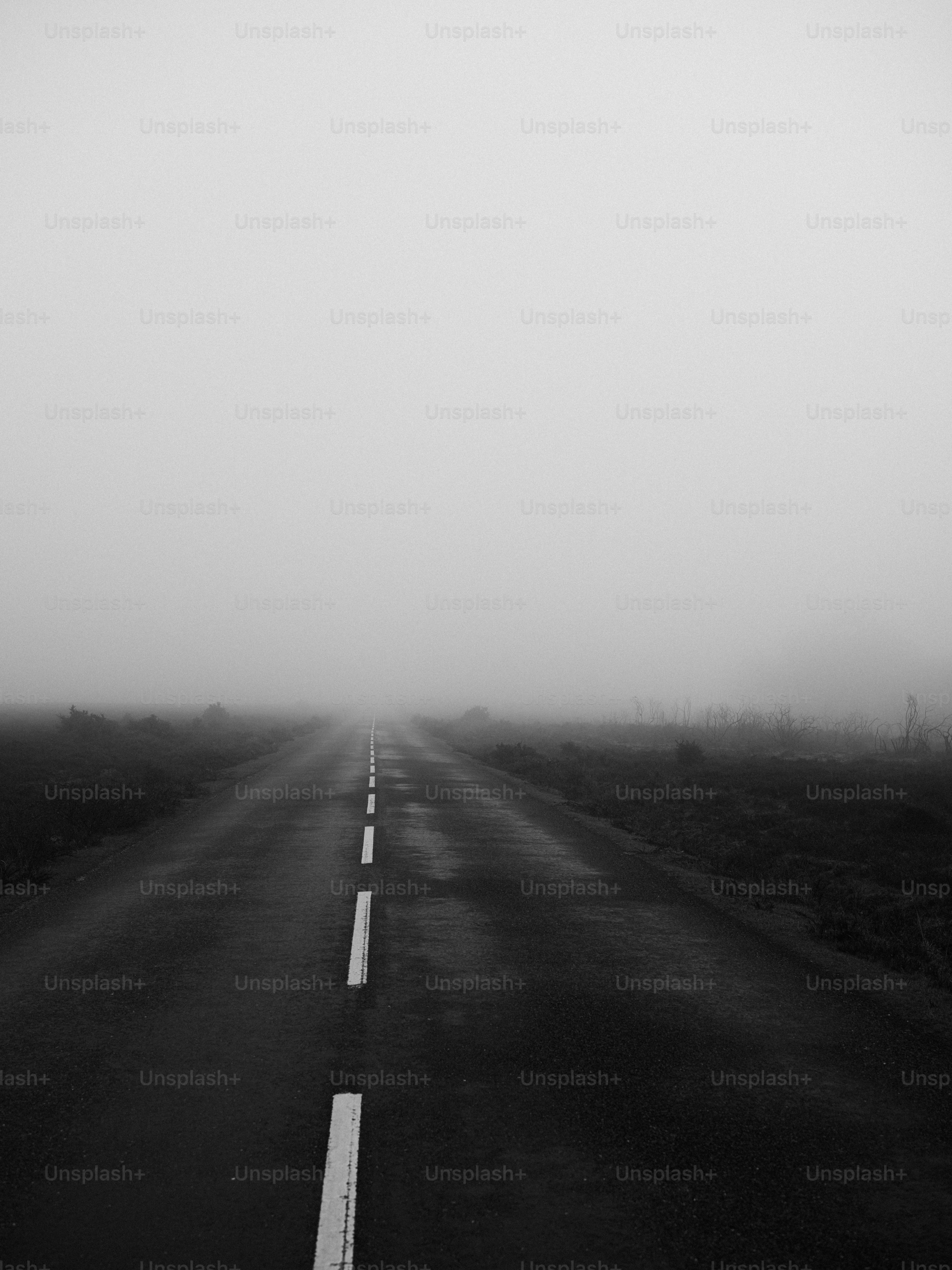 Empty road disappearing into thick fog