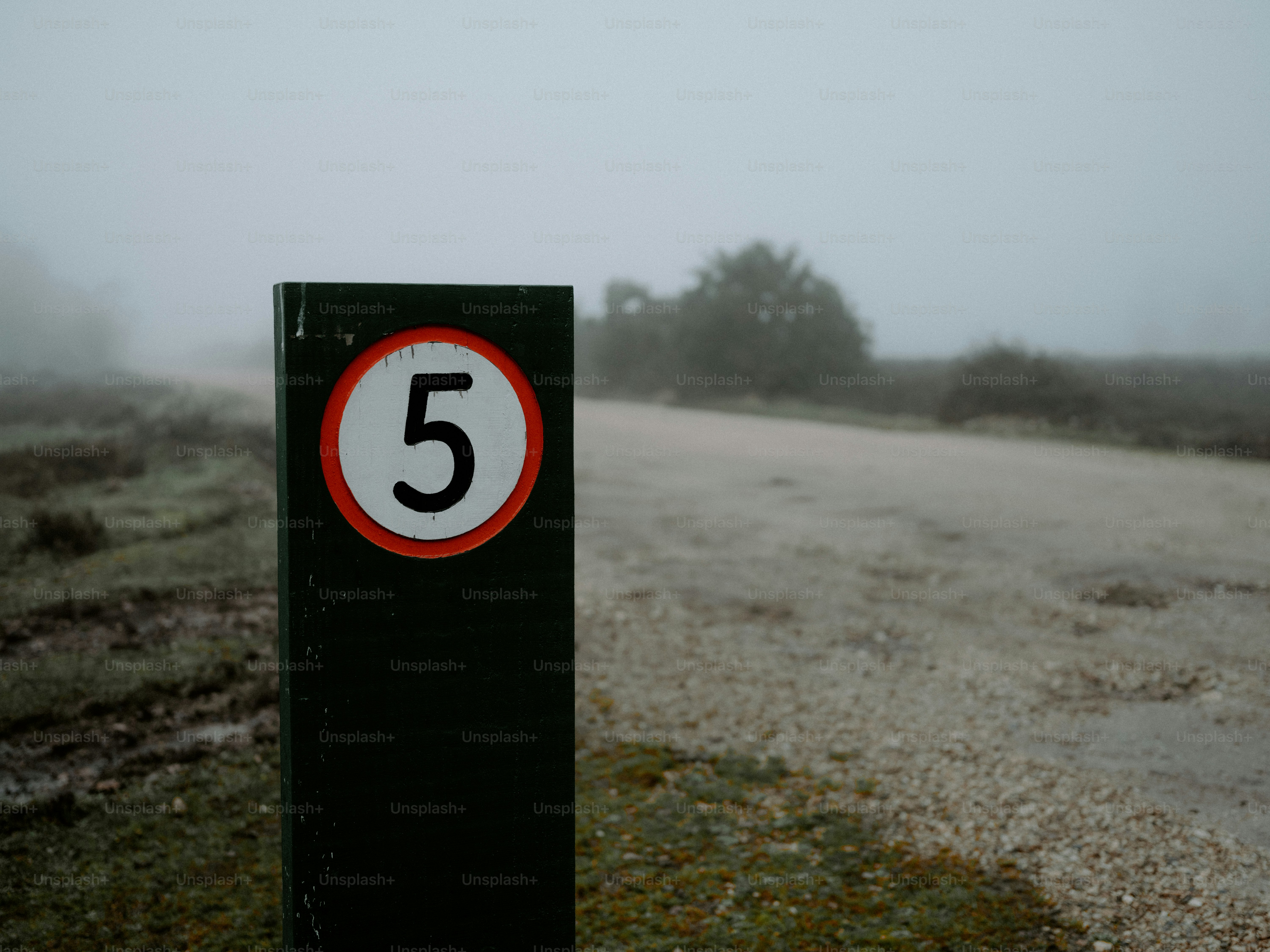 Um sinal de limite de velocidade em tempo de neblina