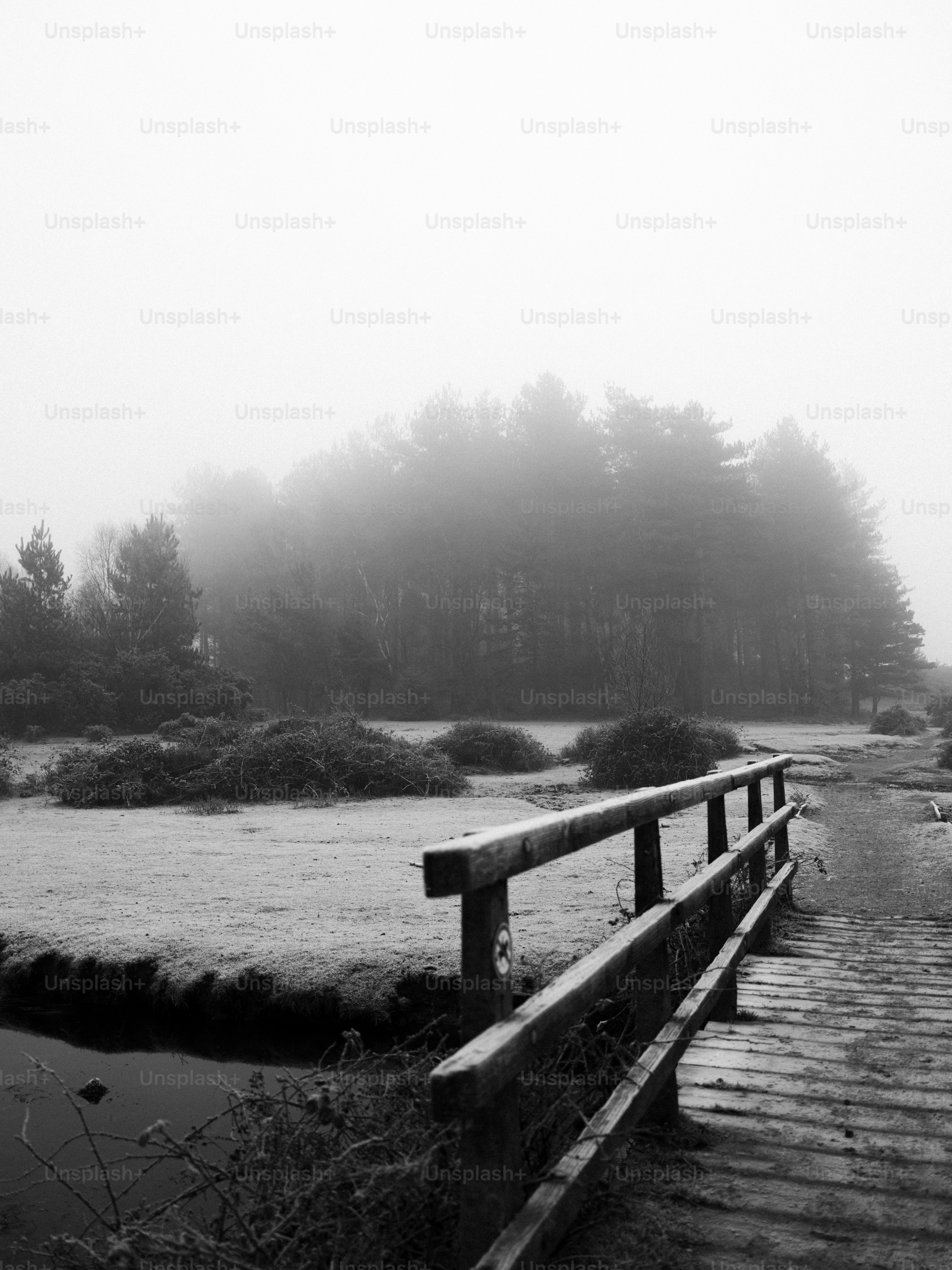 Wooden bridge over a stream in foggy forest