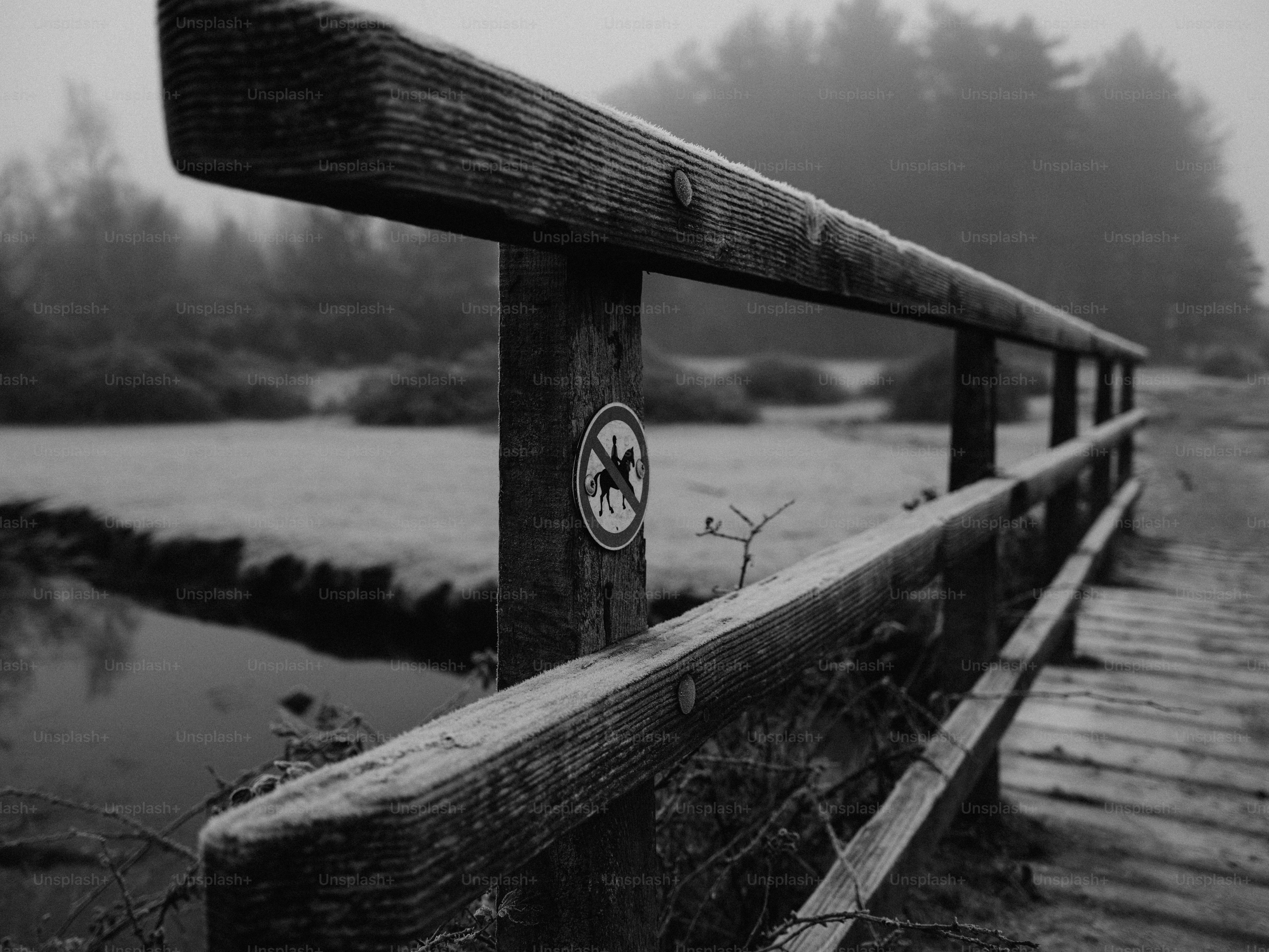 Wooden bridge over a small stream in foggy forest