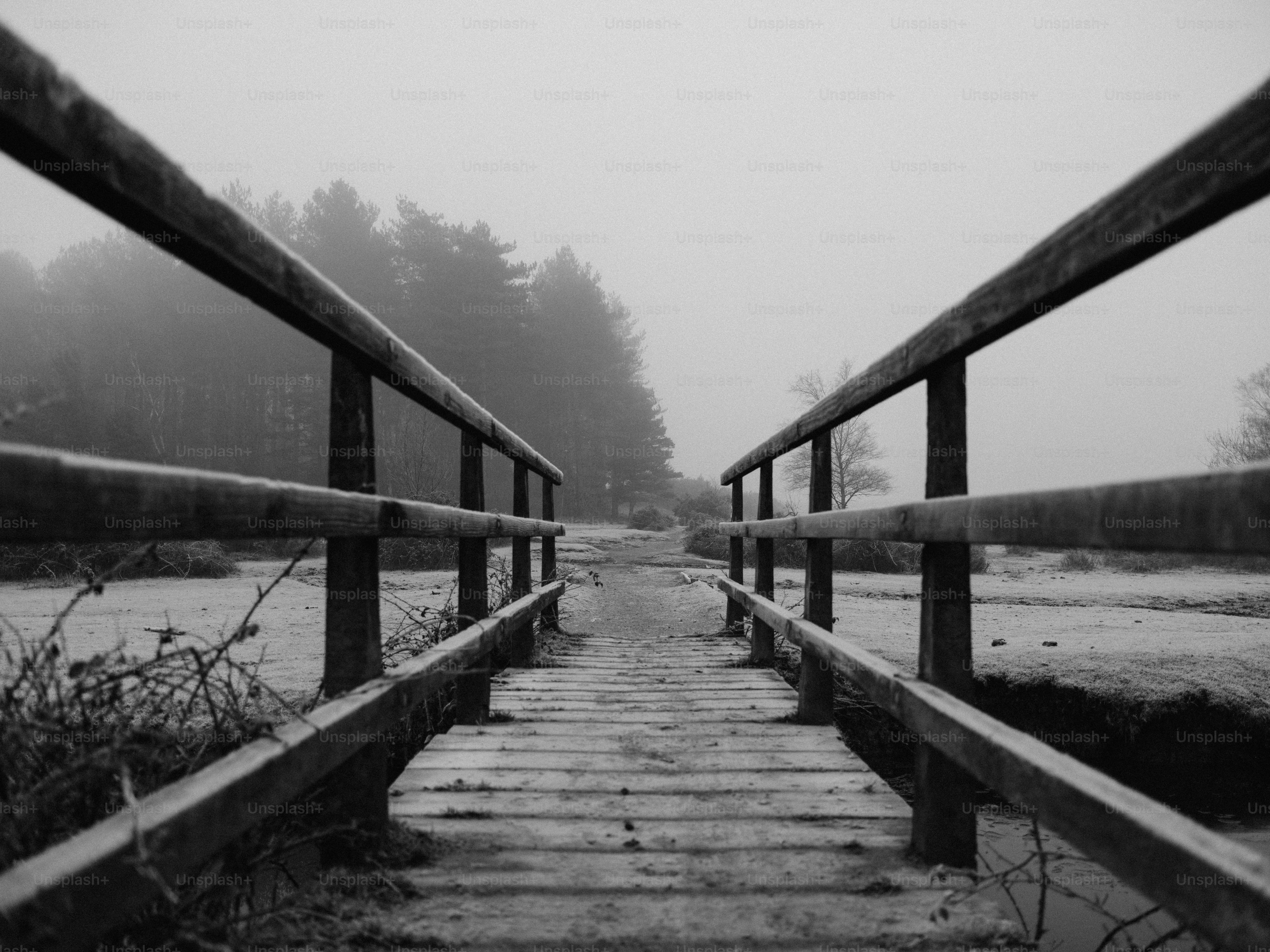 Wooden bridge leading through a foggy forest