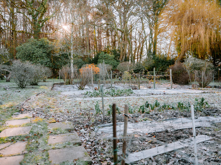 Verschneiter Garten im Winter