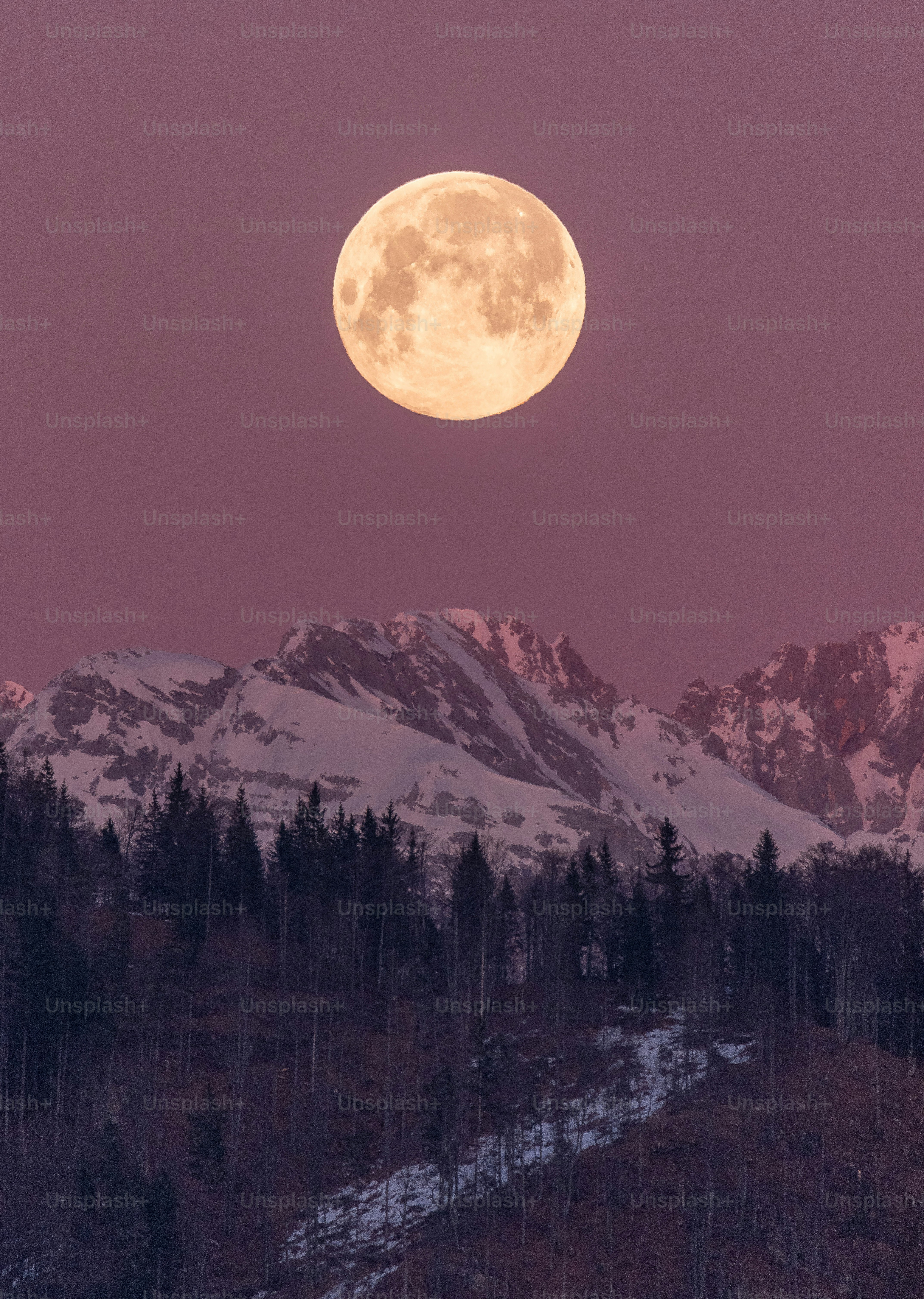 Full moon over snow-capped mountains and pine forest.