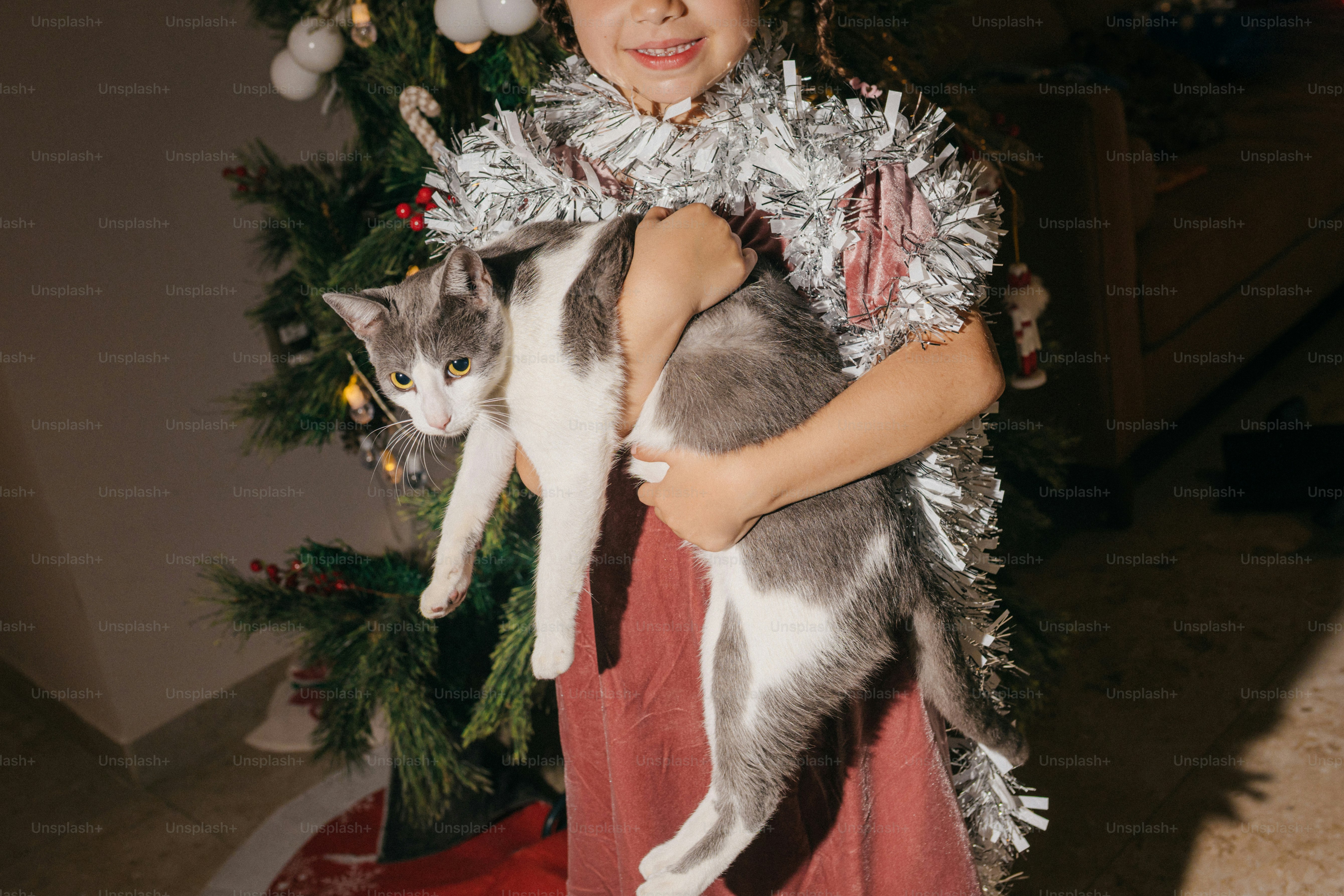 Das Kind hält die Katze in der Nähe eines geschmückten Weihnachtsbaums.