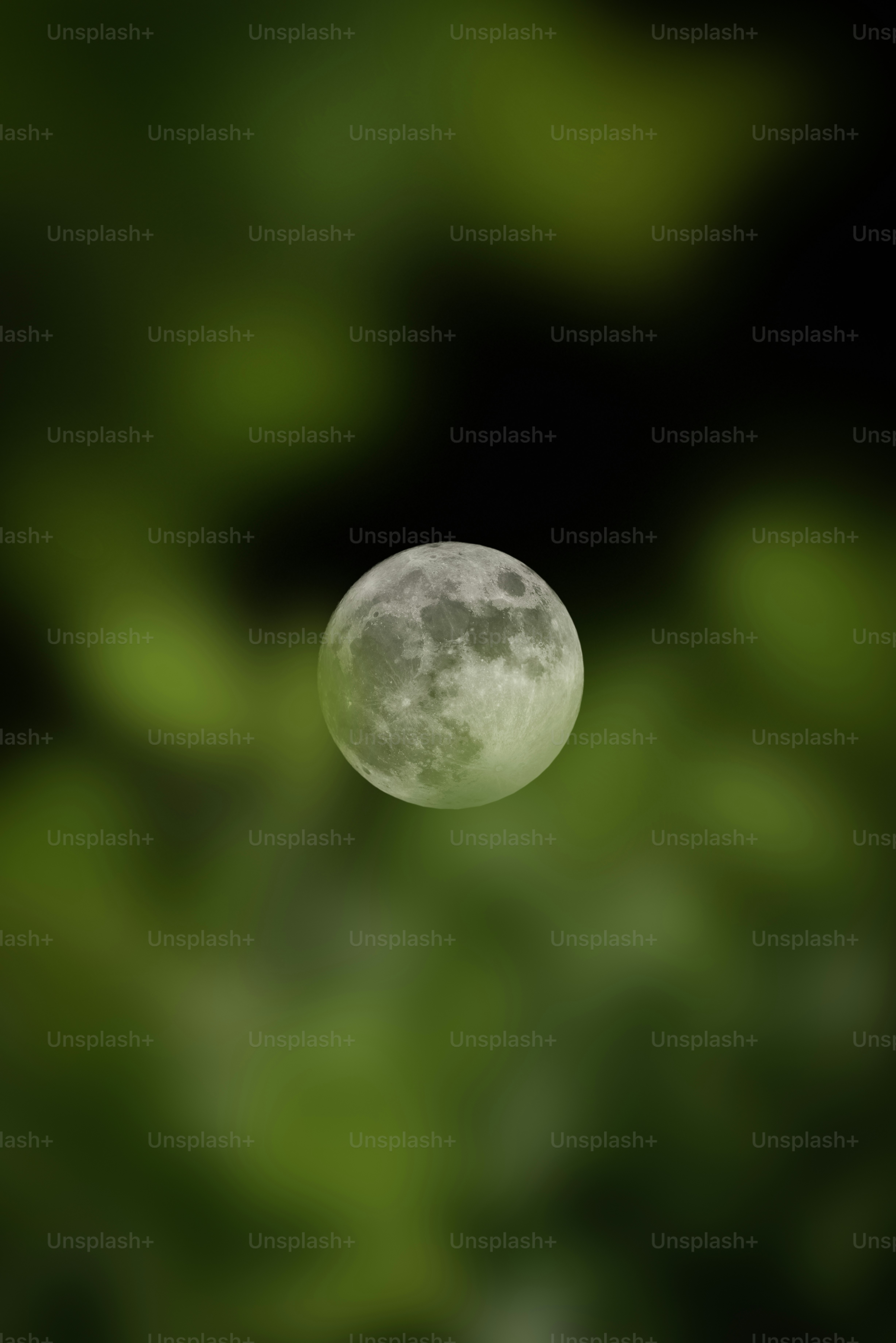The moon floats against a blurred green background