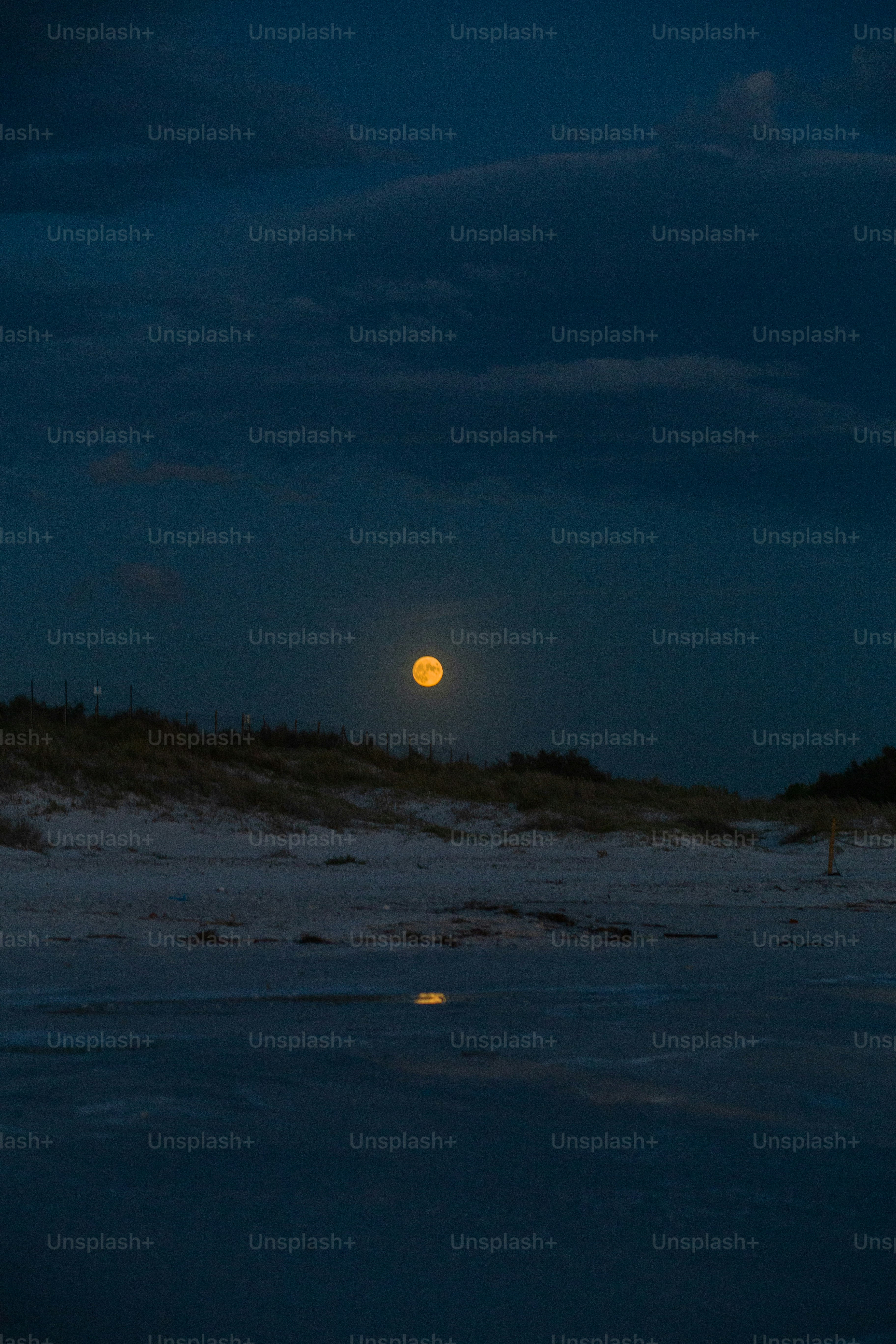 Luna llena sobre una playa oscura por la noche.