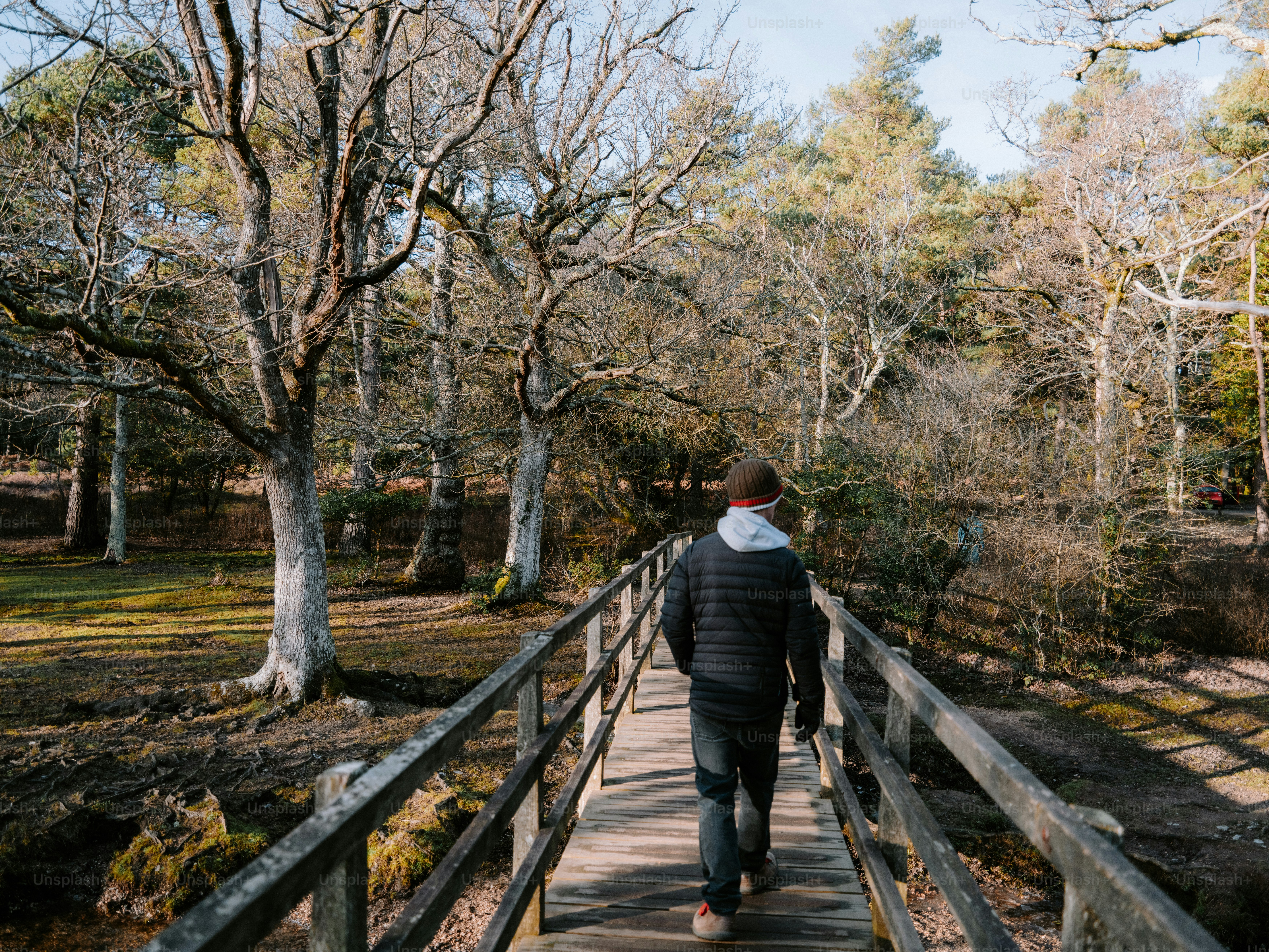 Man walking on a wooden bridge in a forest.