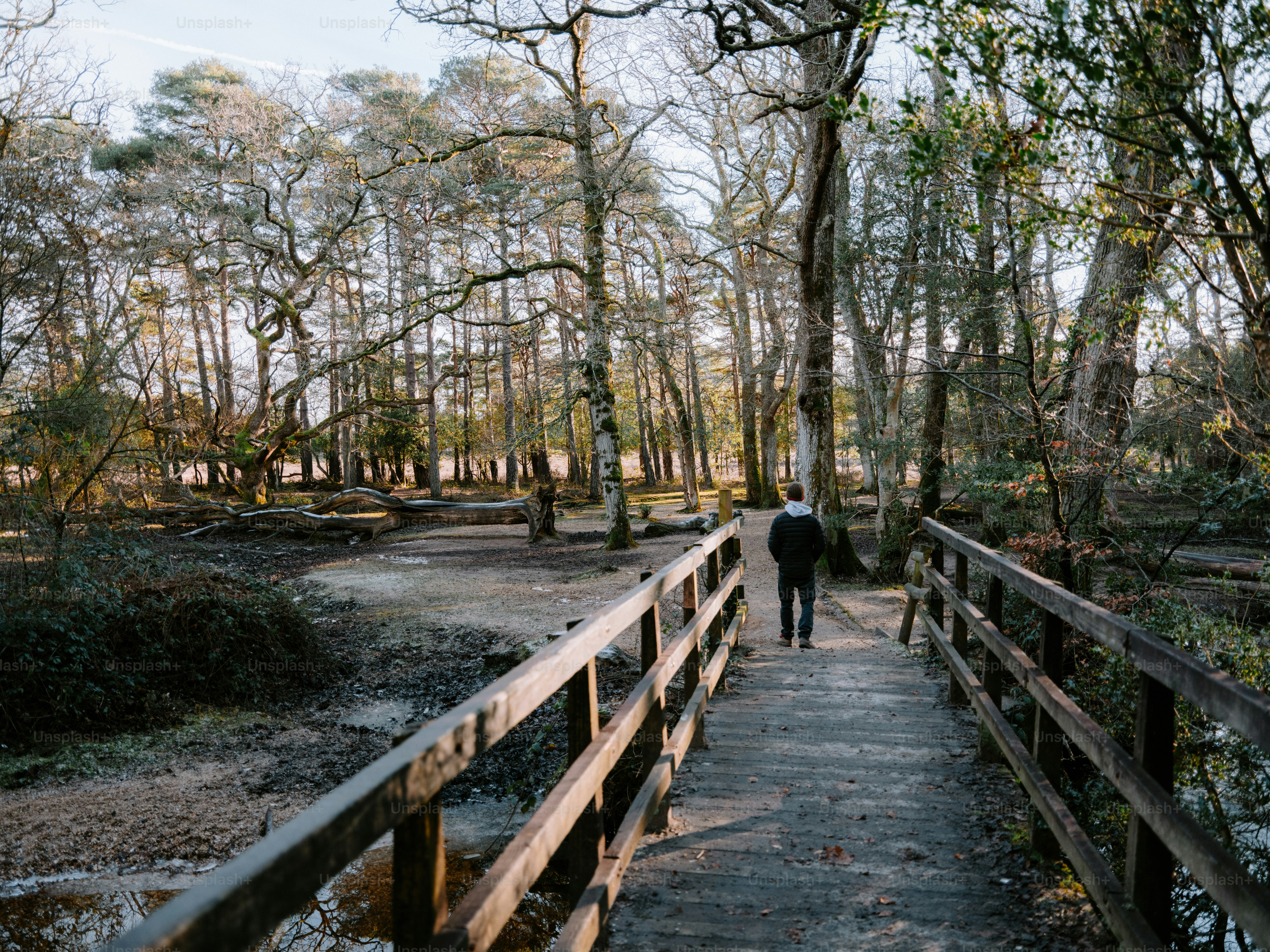 Person walks across wooden bridge in forest