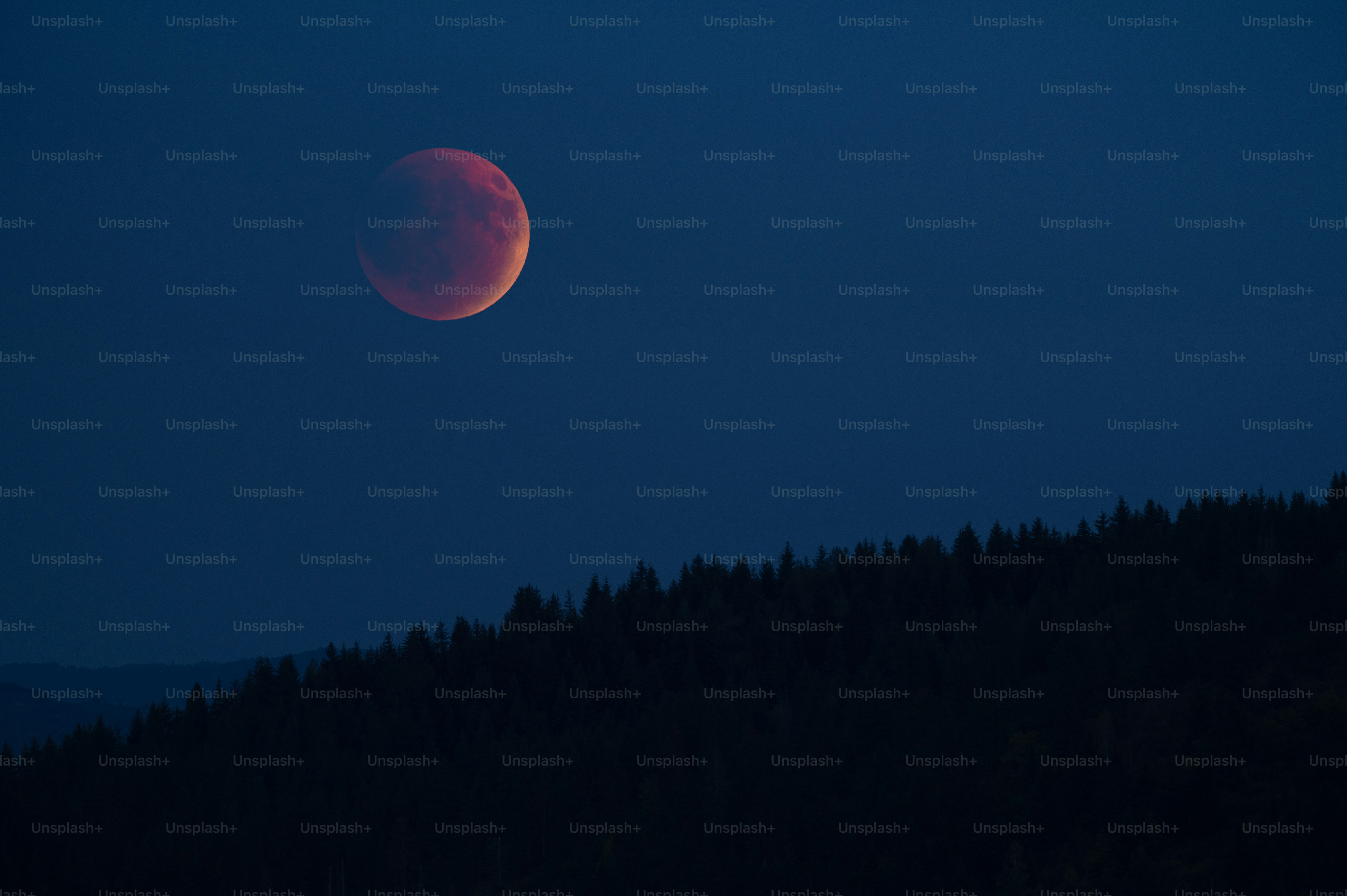 Red moon partially eclipsed over dark forest horizon