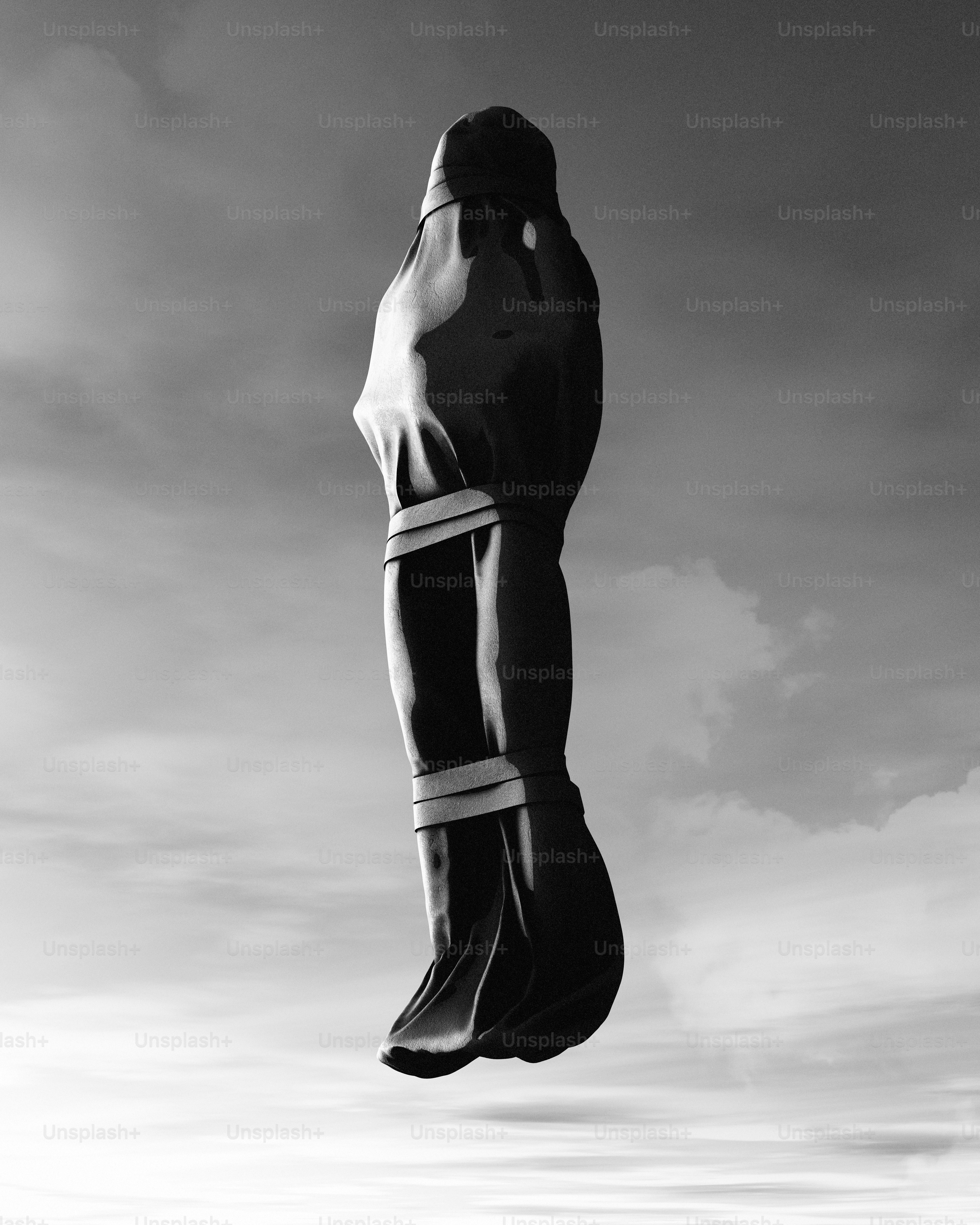 Figure wrapped in dark cloth against cloudy sky