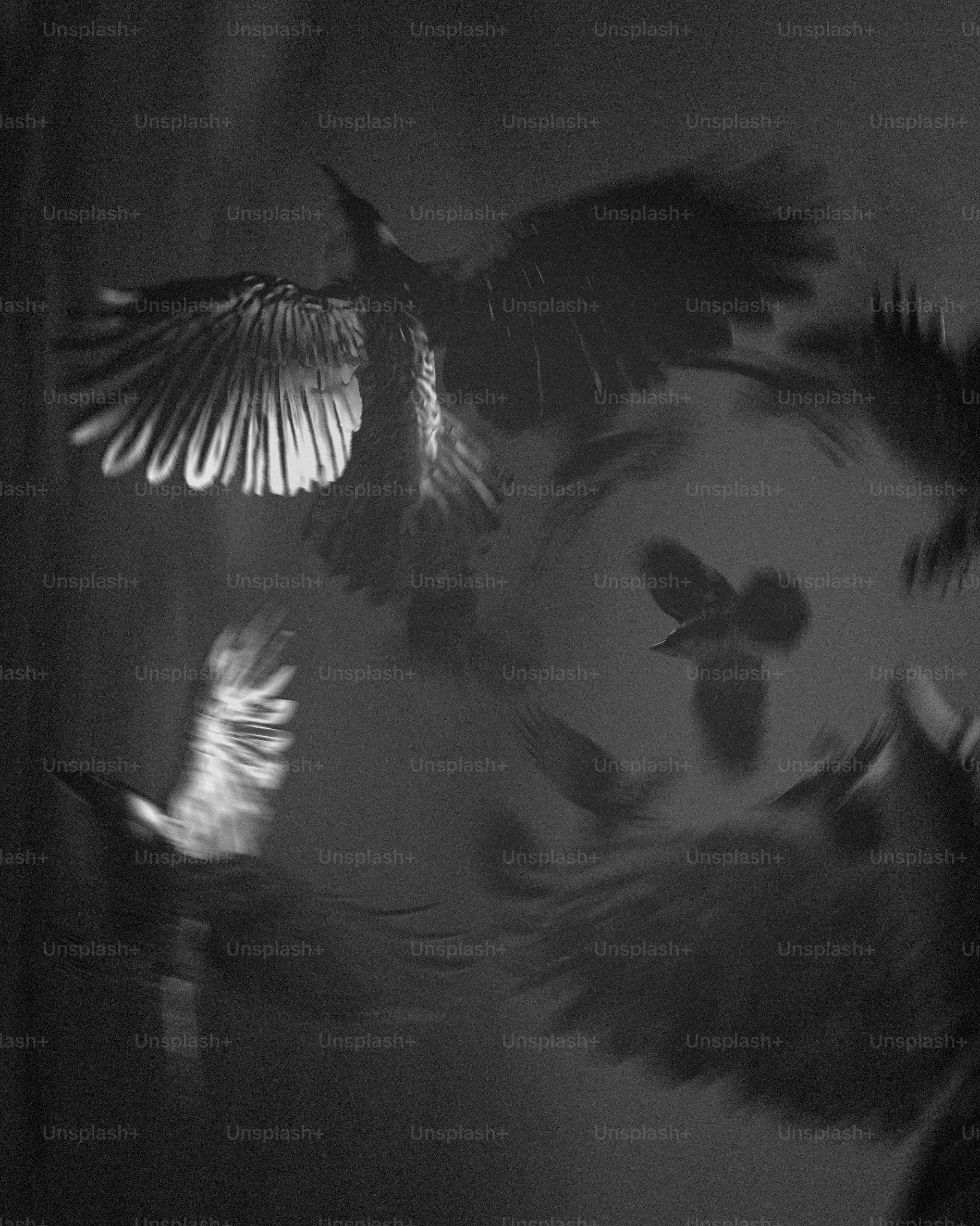 A flock of birds flying in the dark