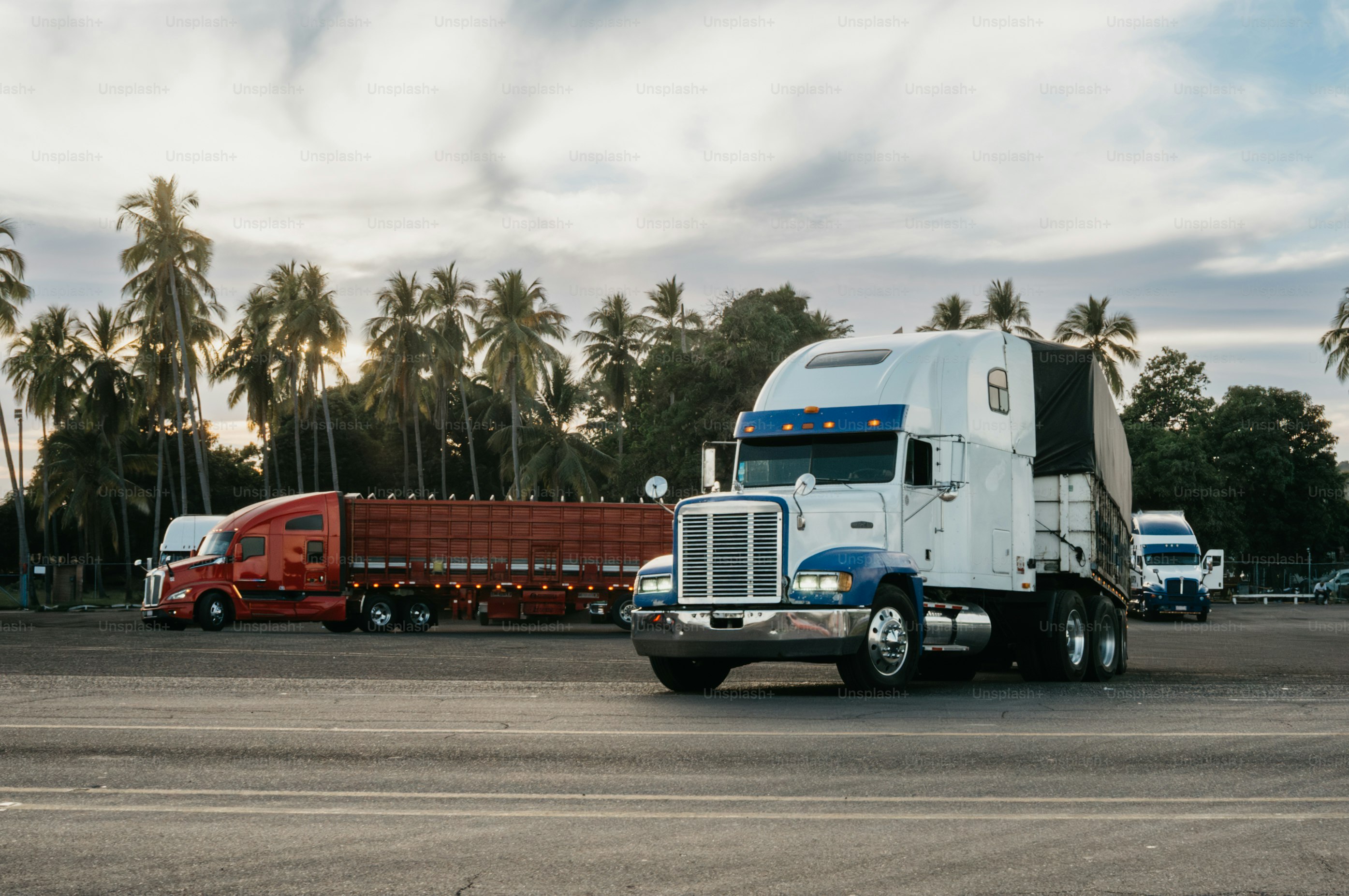 Two semi-trucks parked with palm trees behind them.
