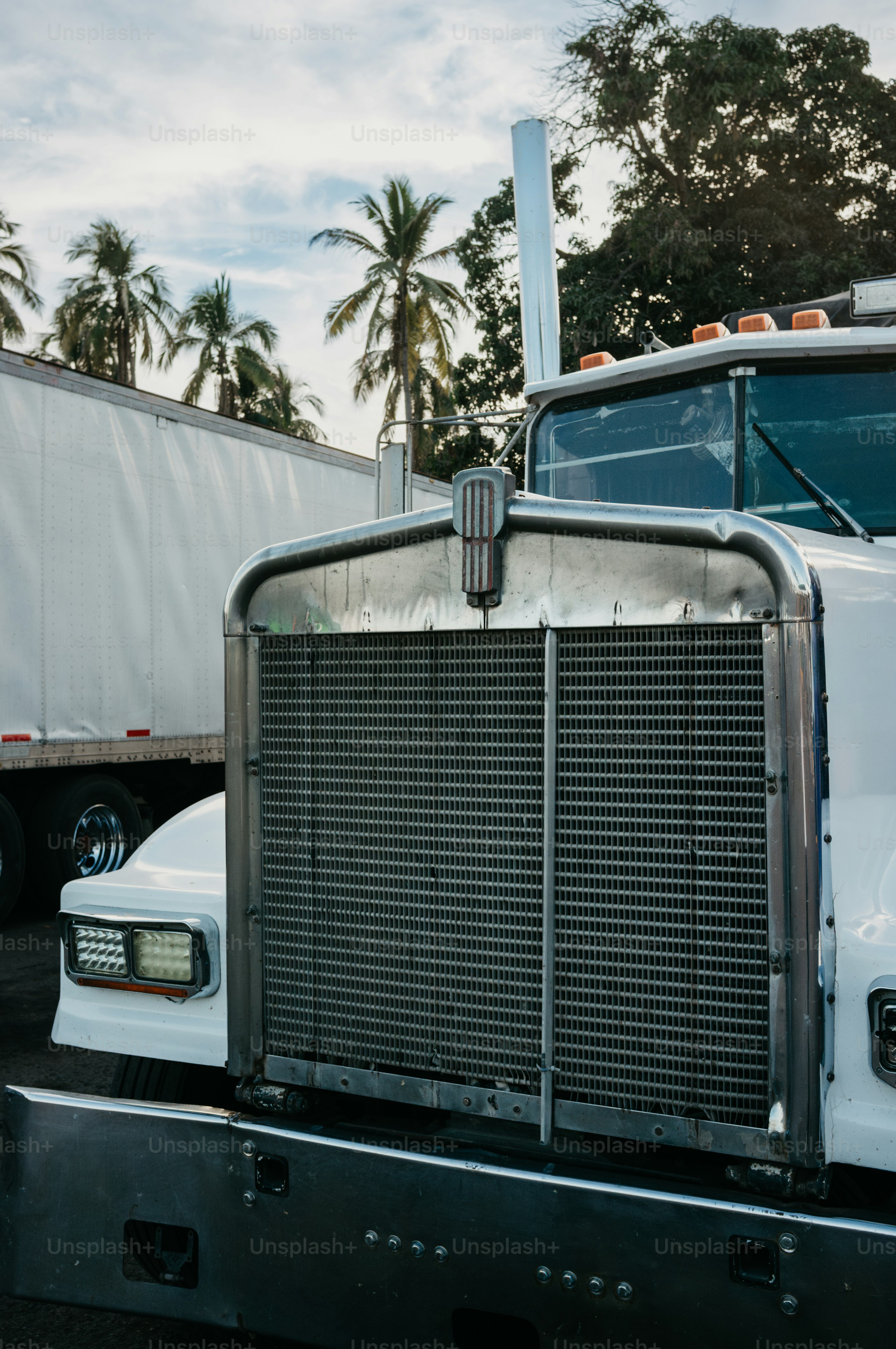 White semi-truck with chrome grille and palm trees.