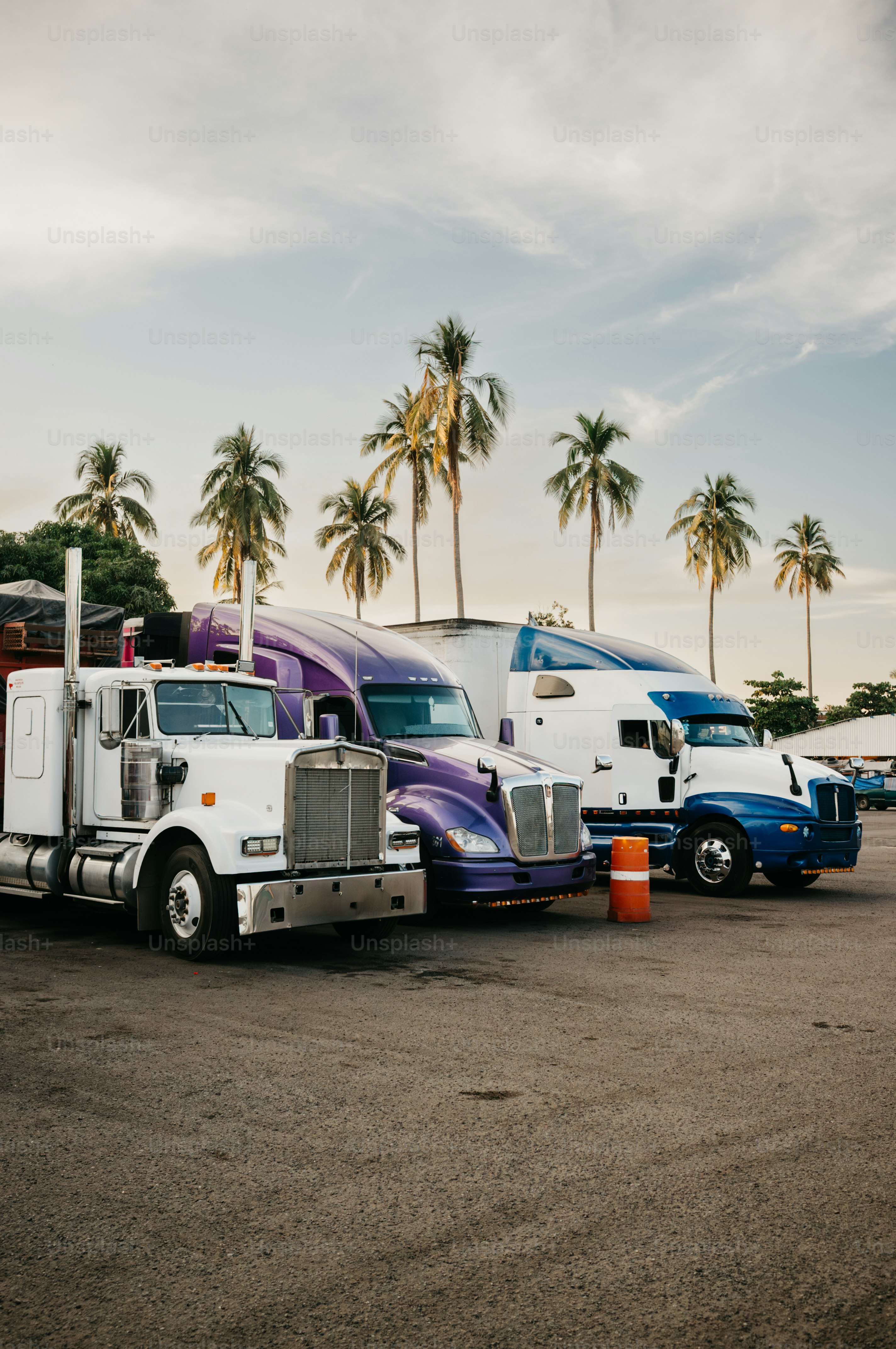 Three semi-trucks parked with palm trees behind.
