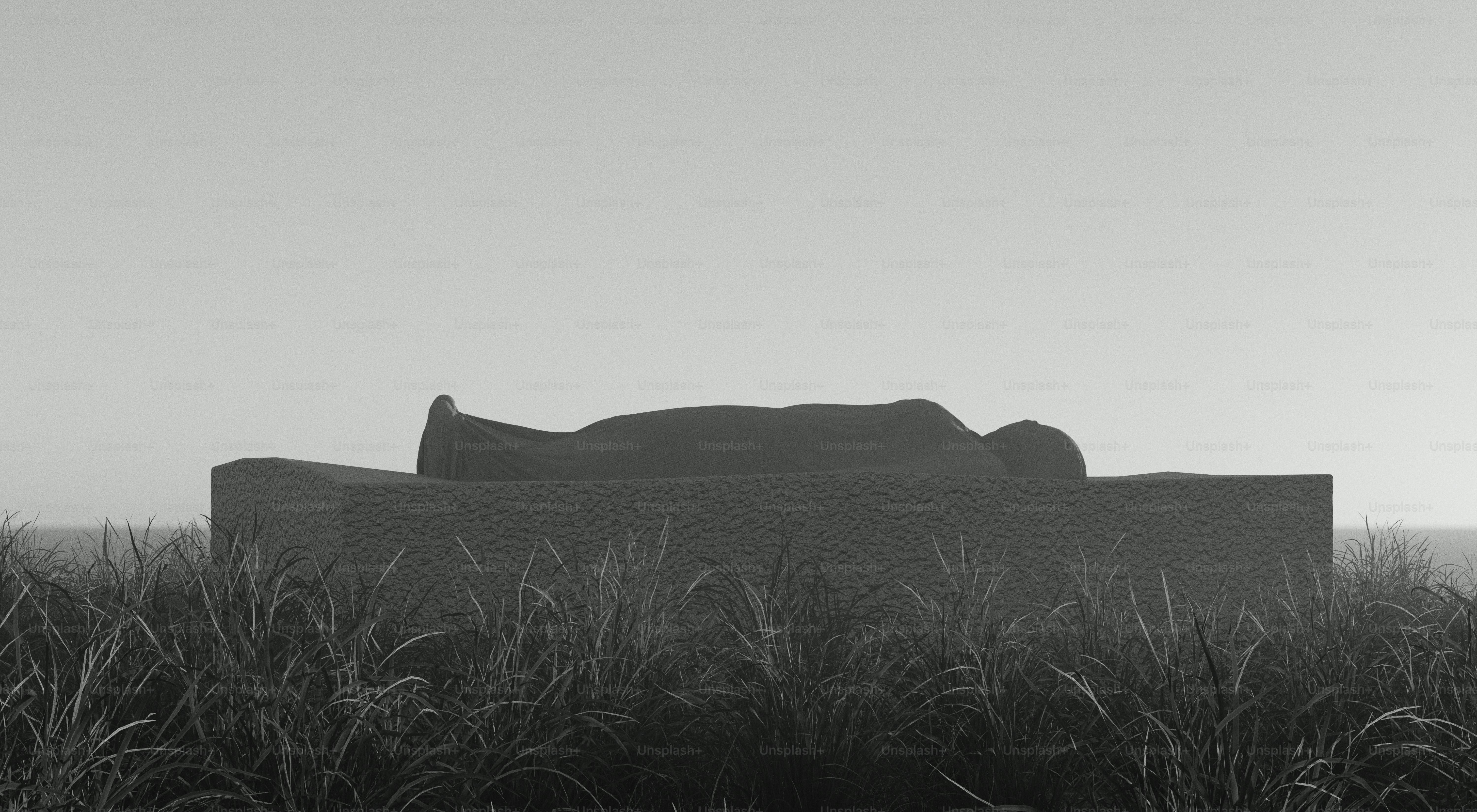 Figure lying on a stone slab in tall grass
