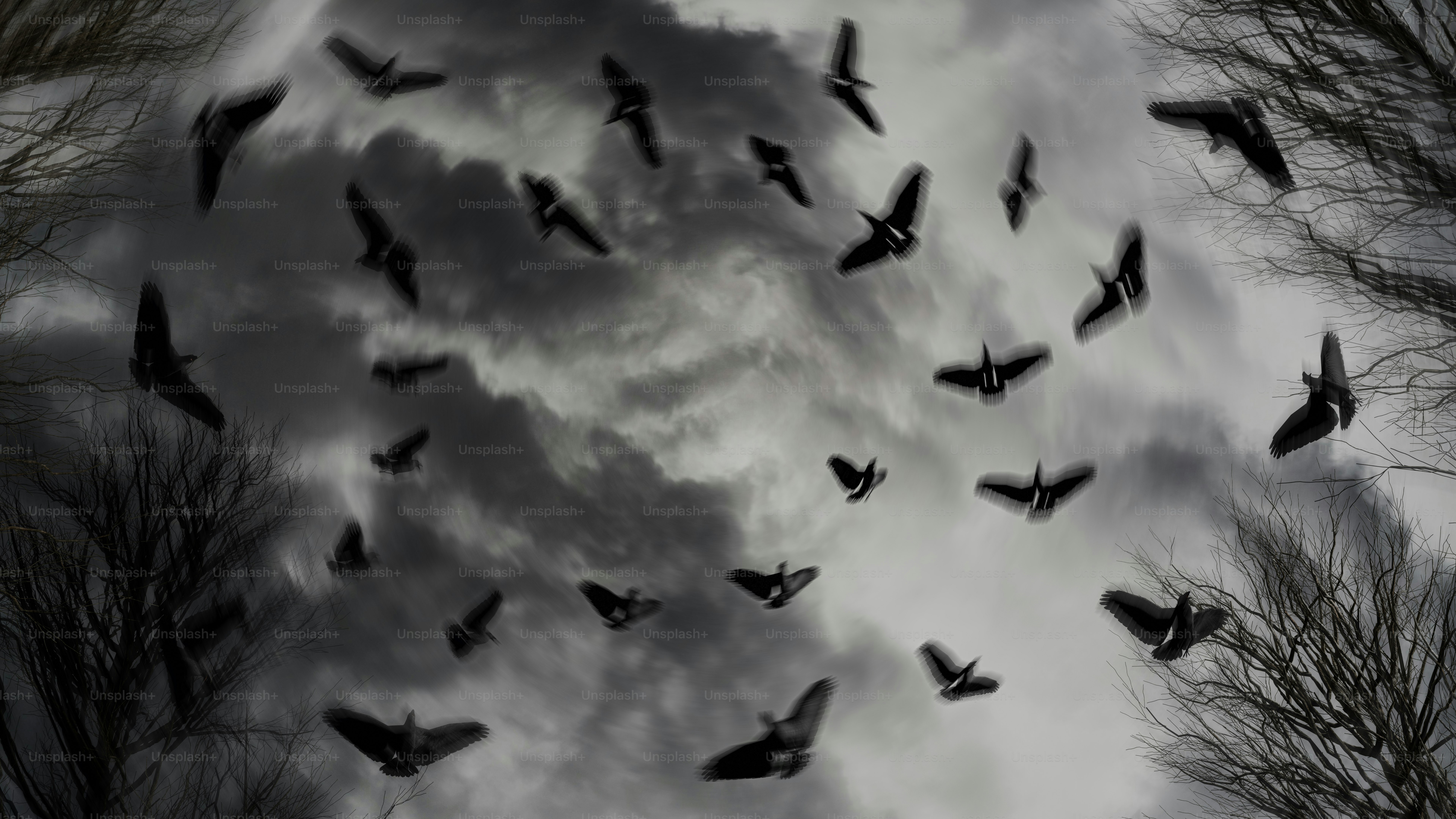 Sekawanan burung terbang di langit mendung.