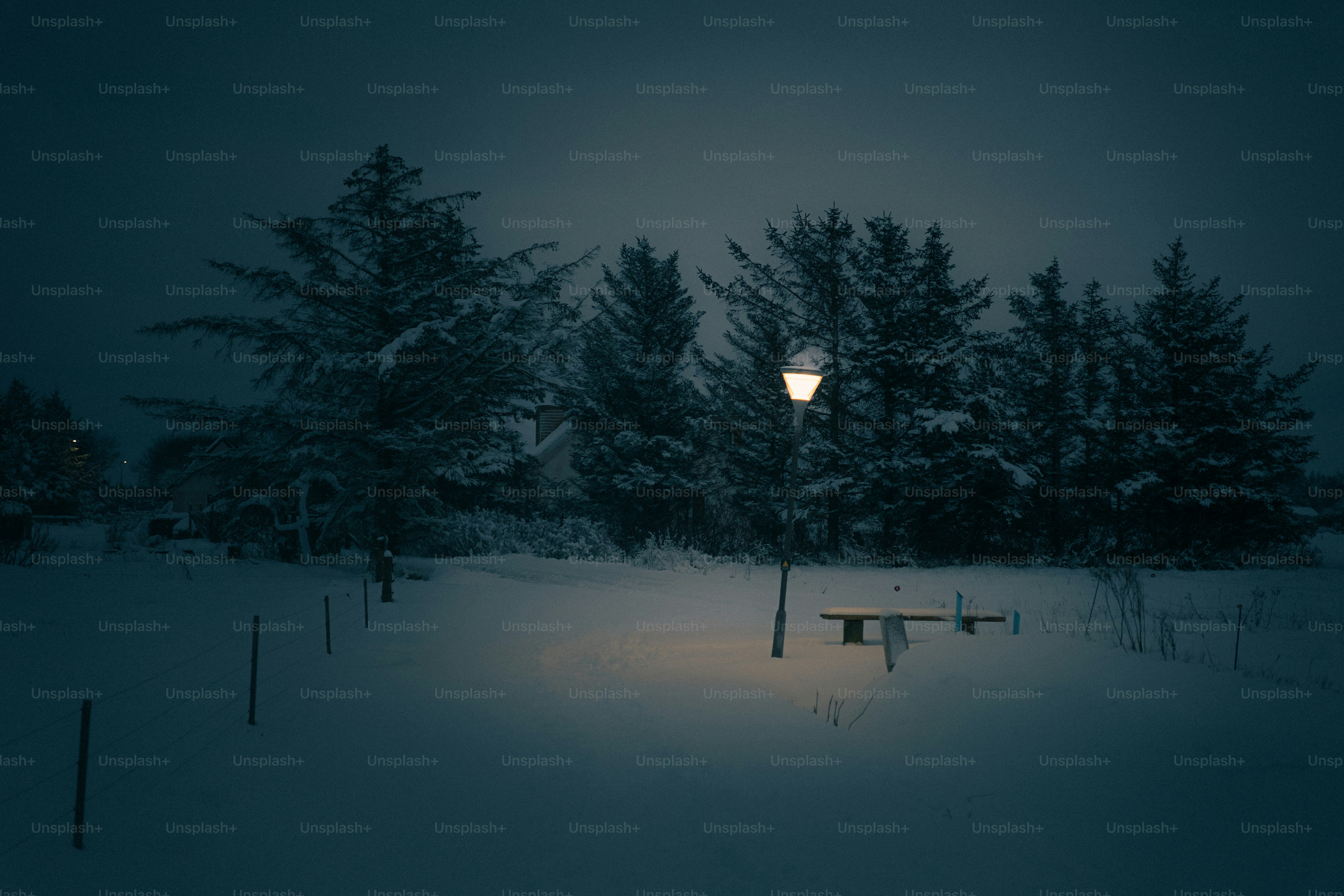 A lamp post illuminates a snowy landscape at night.