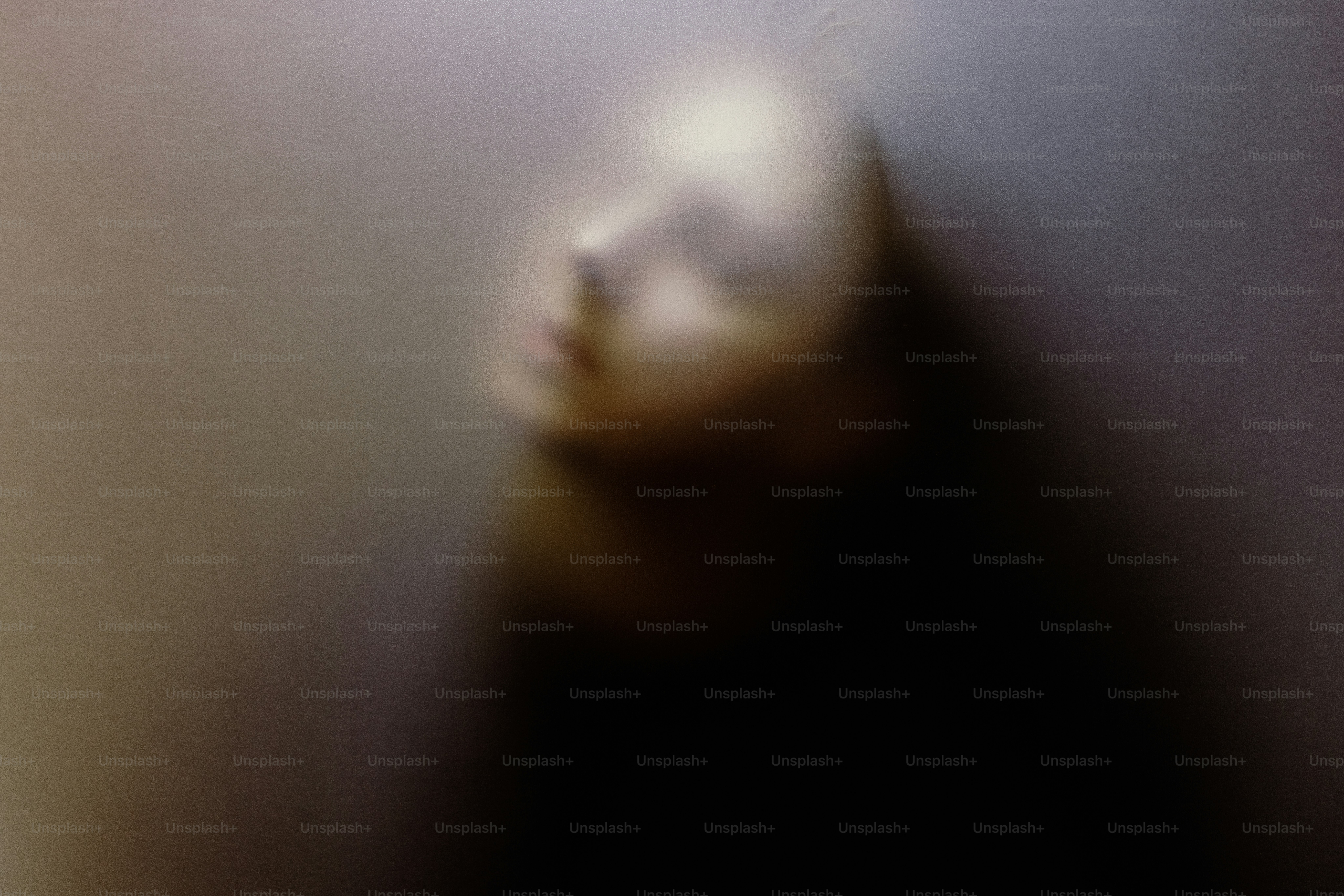 テクスチャーのある表面越しに見えるぼやけた顔