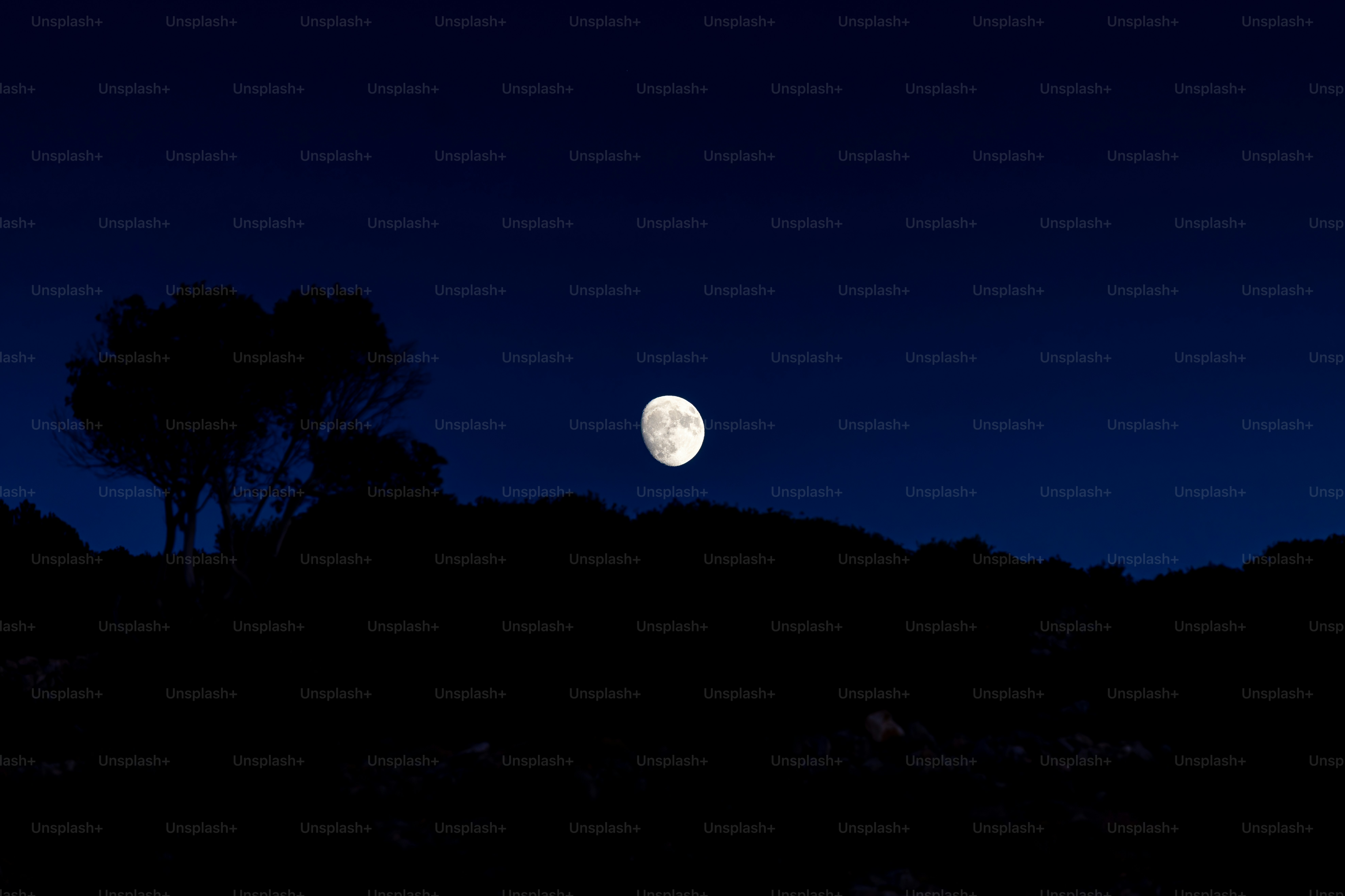 Luna piena visibile in un cielo notturno scuro.