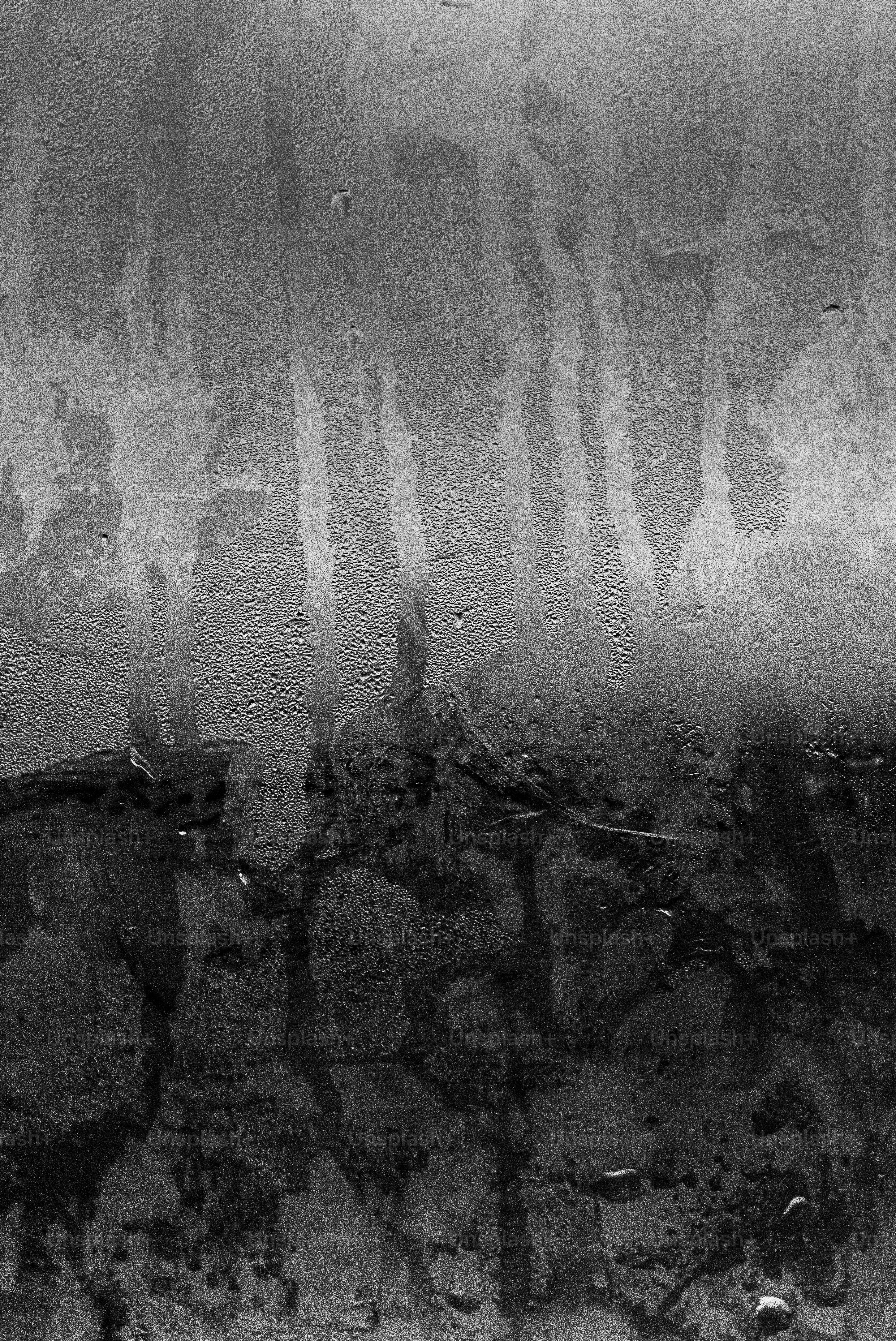 Texture astratta in bianco e nero con gocce d'acqua.