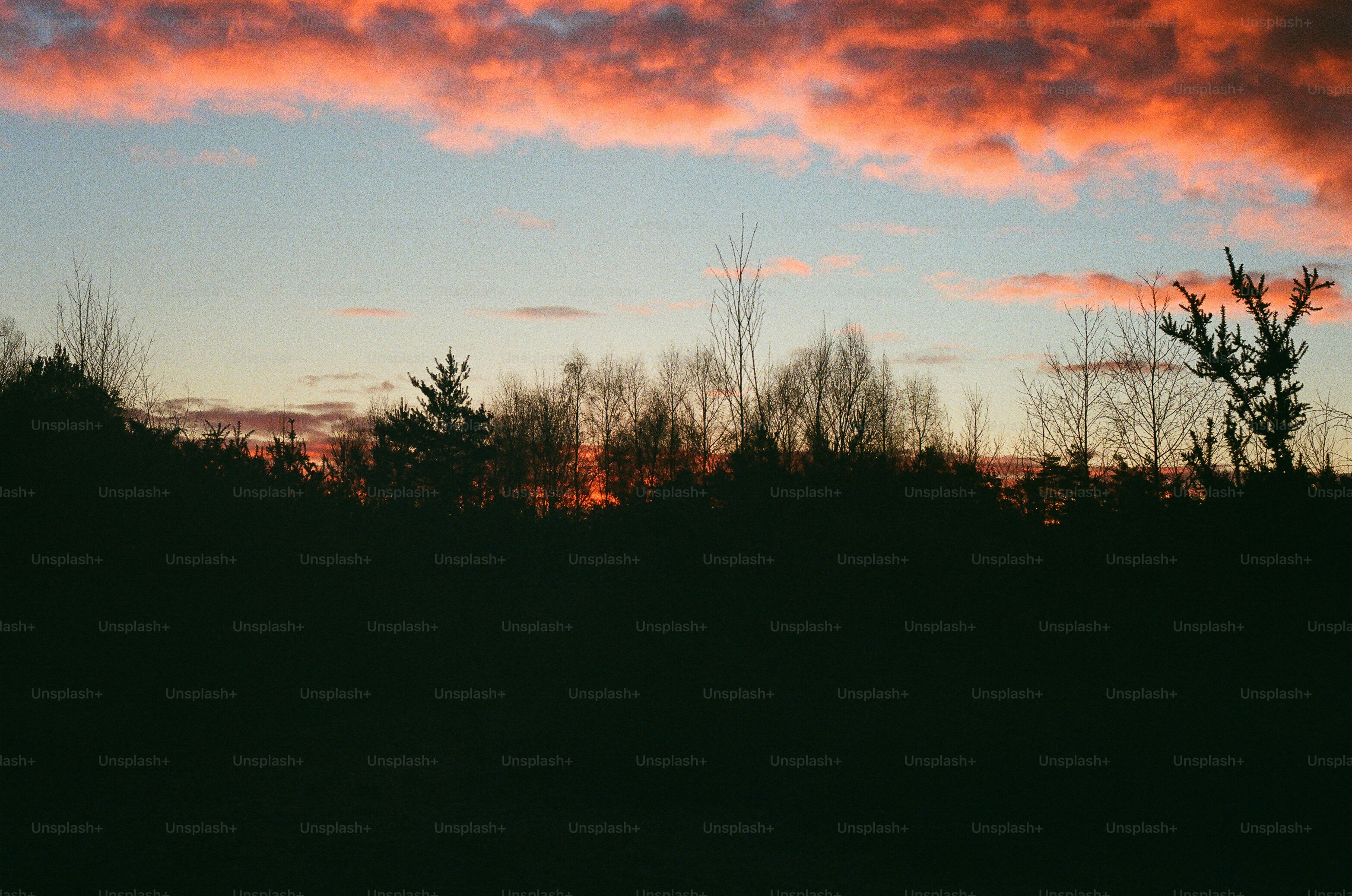 Fiery sunset clouds over silhouetted trees photo – Sunset Image on Unsplash