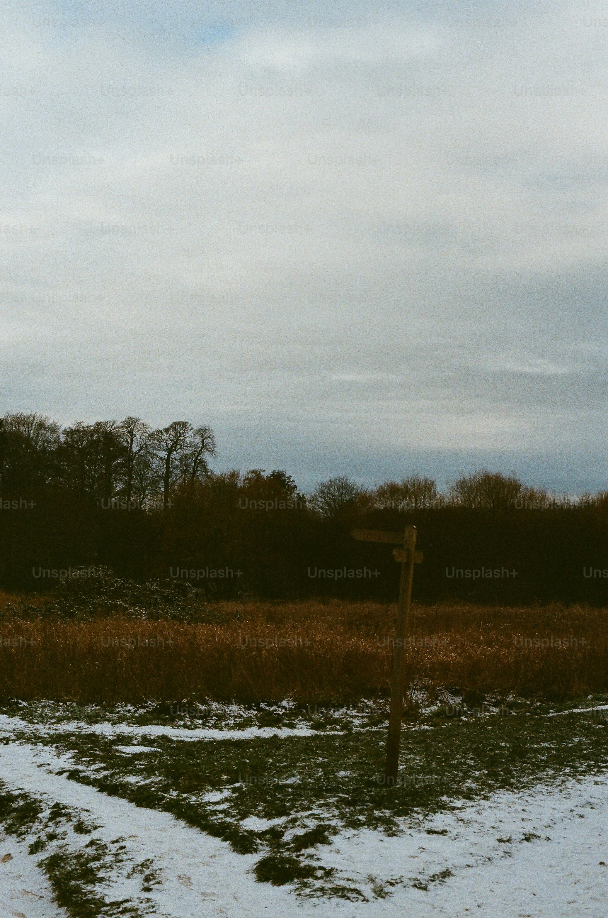 Wooden signpost in a snowy field with trees.