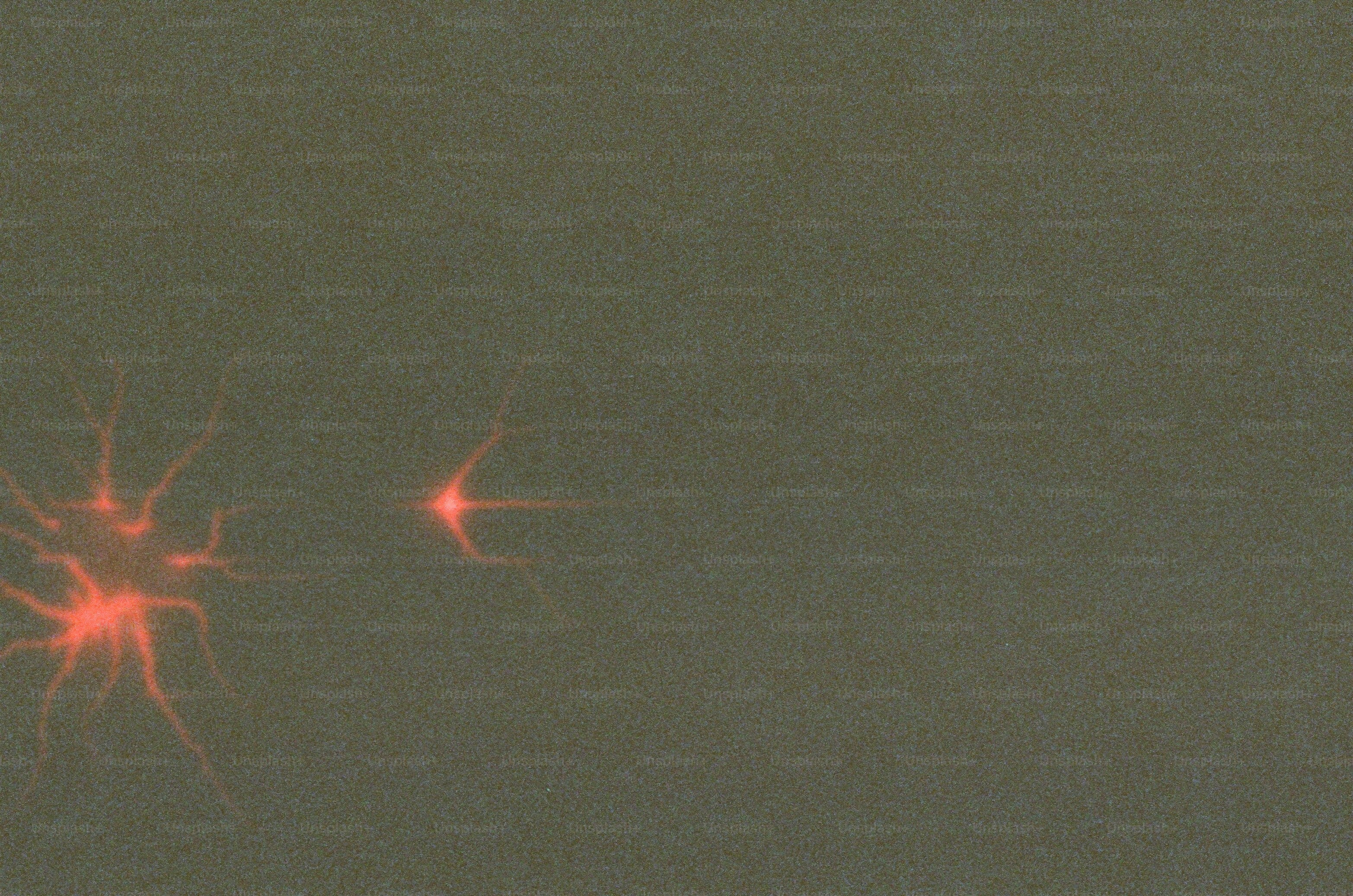 Red abstract shapes on a grey background