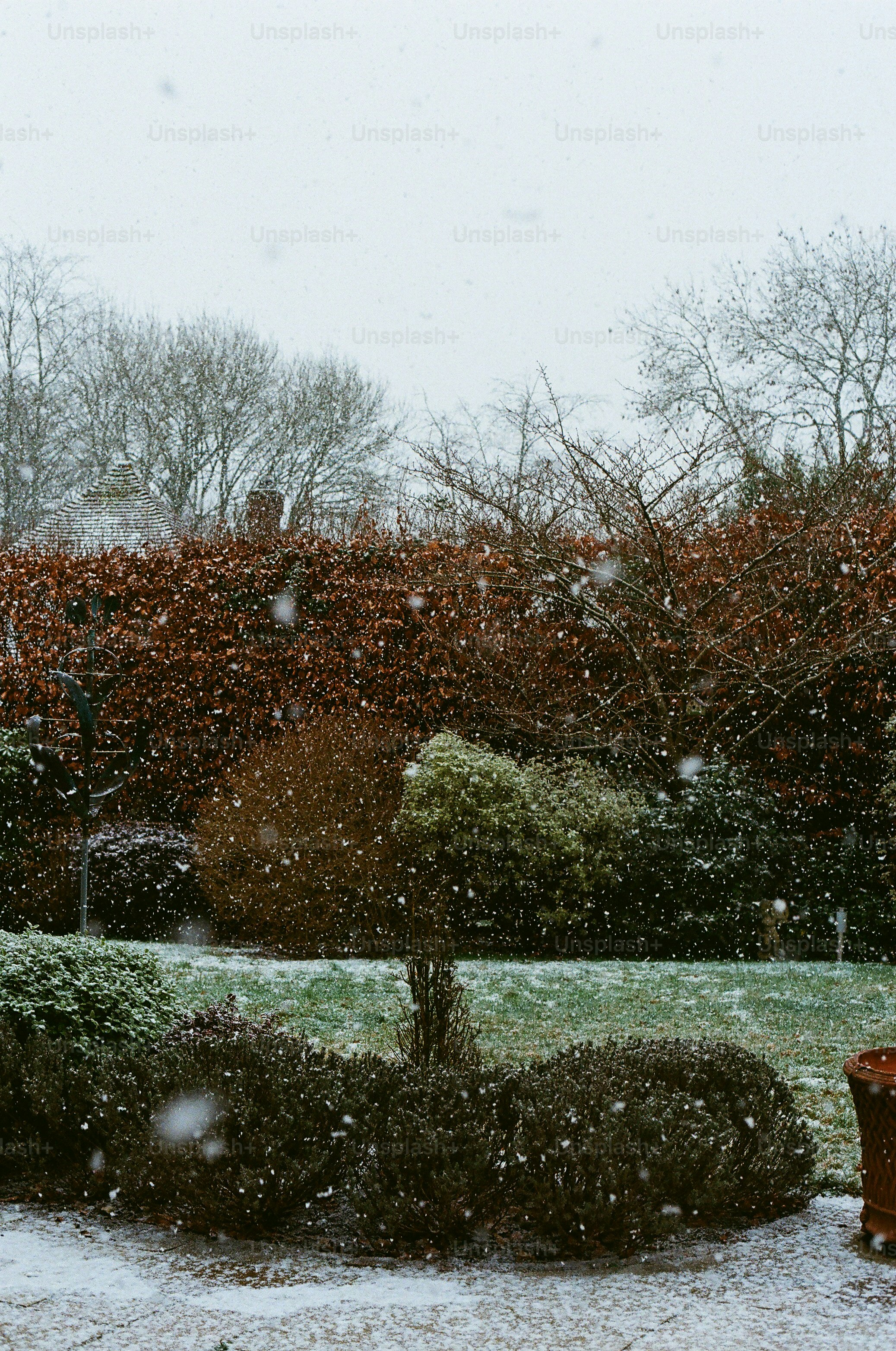 Snow falling on a garden with trees and bushes.