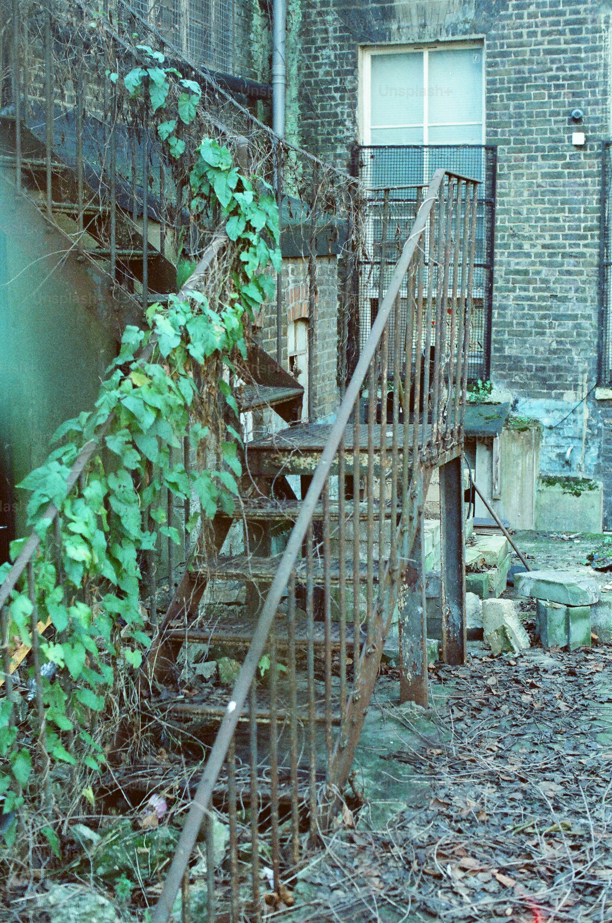 Rusty outdoor staircase overgrown with green vines.