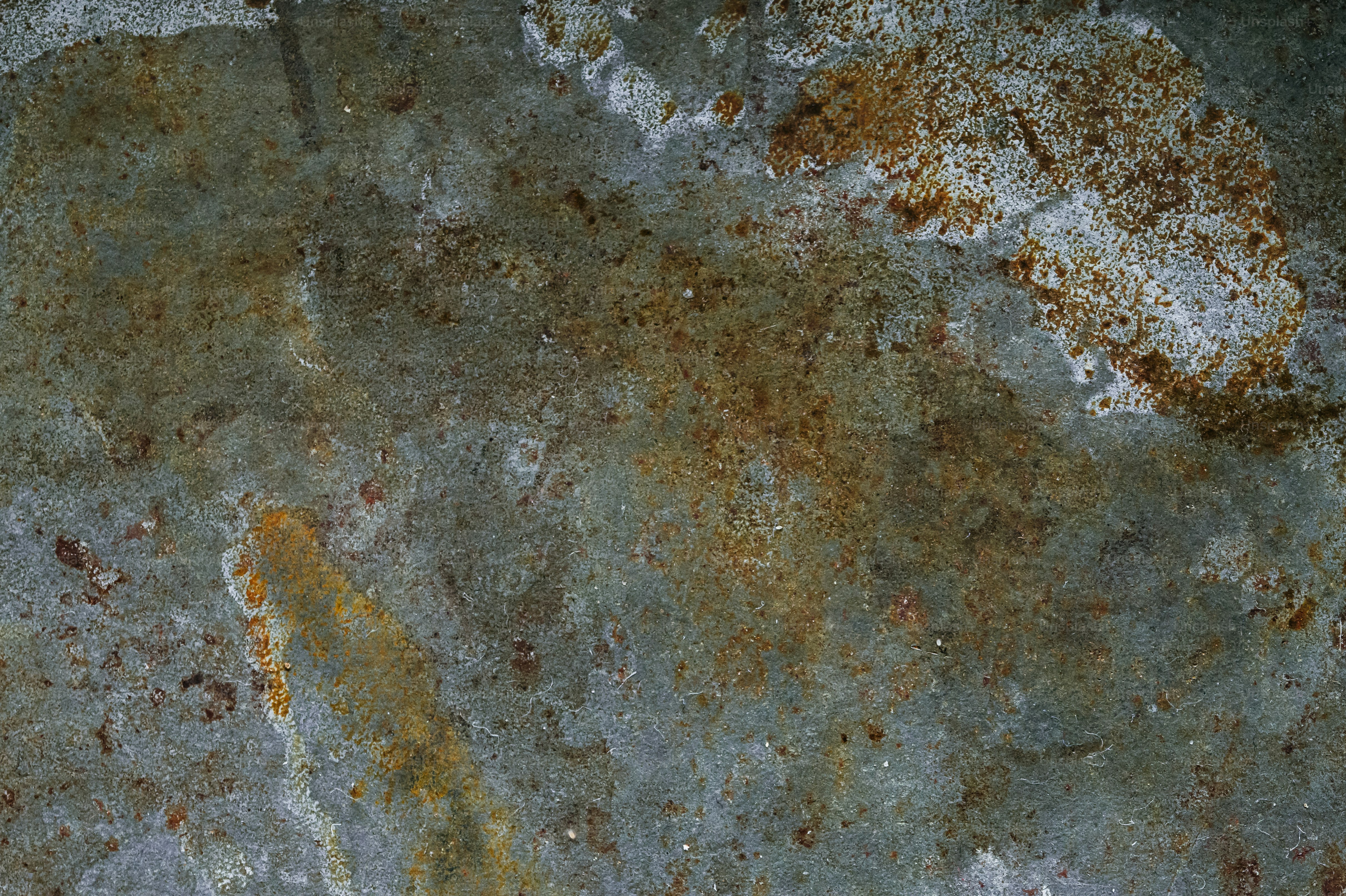 Close-up of a textured gray and brown stone surface.