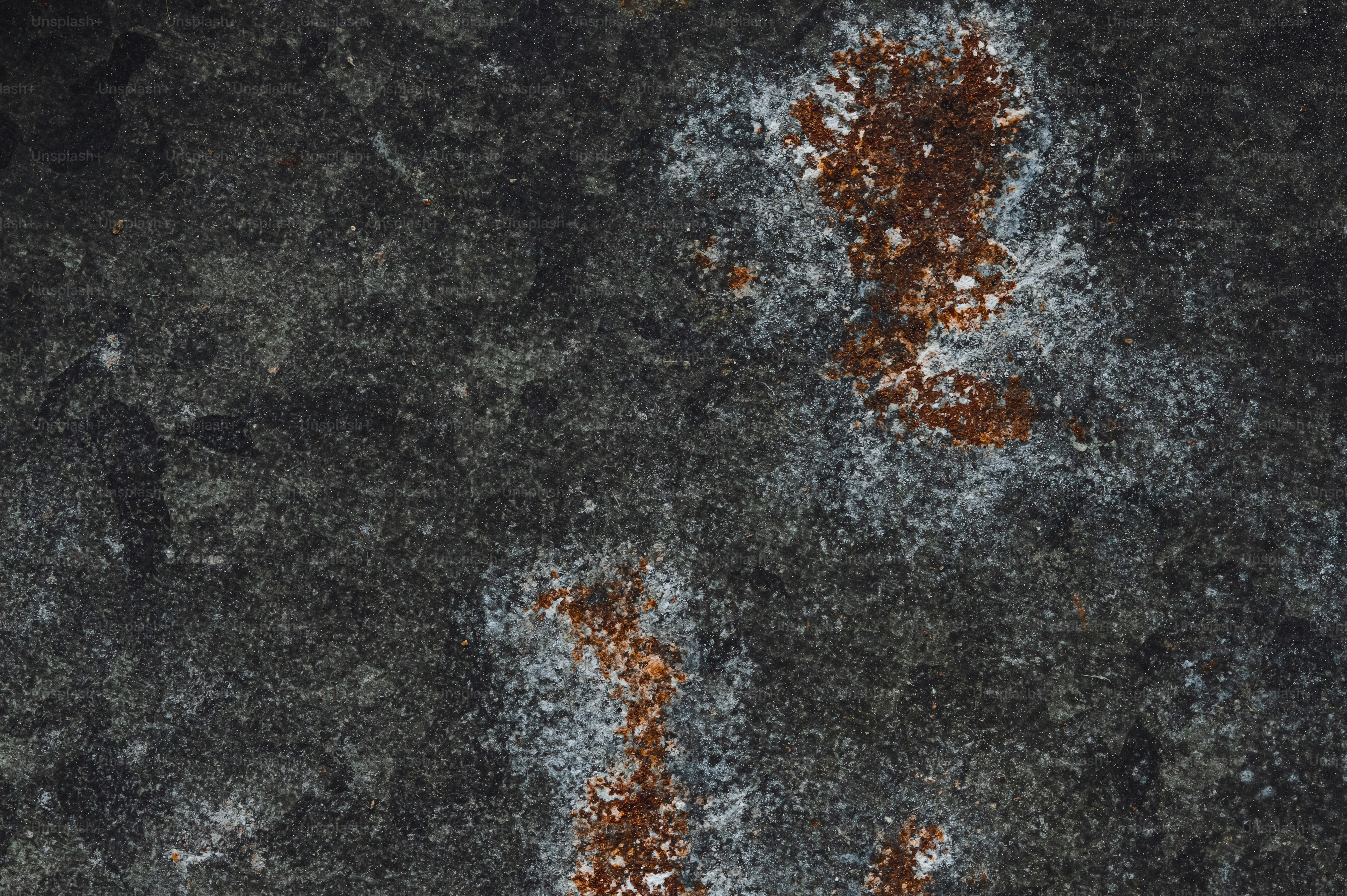 Close-up of rusted metal with white mold growth