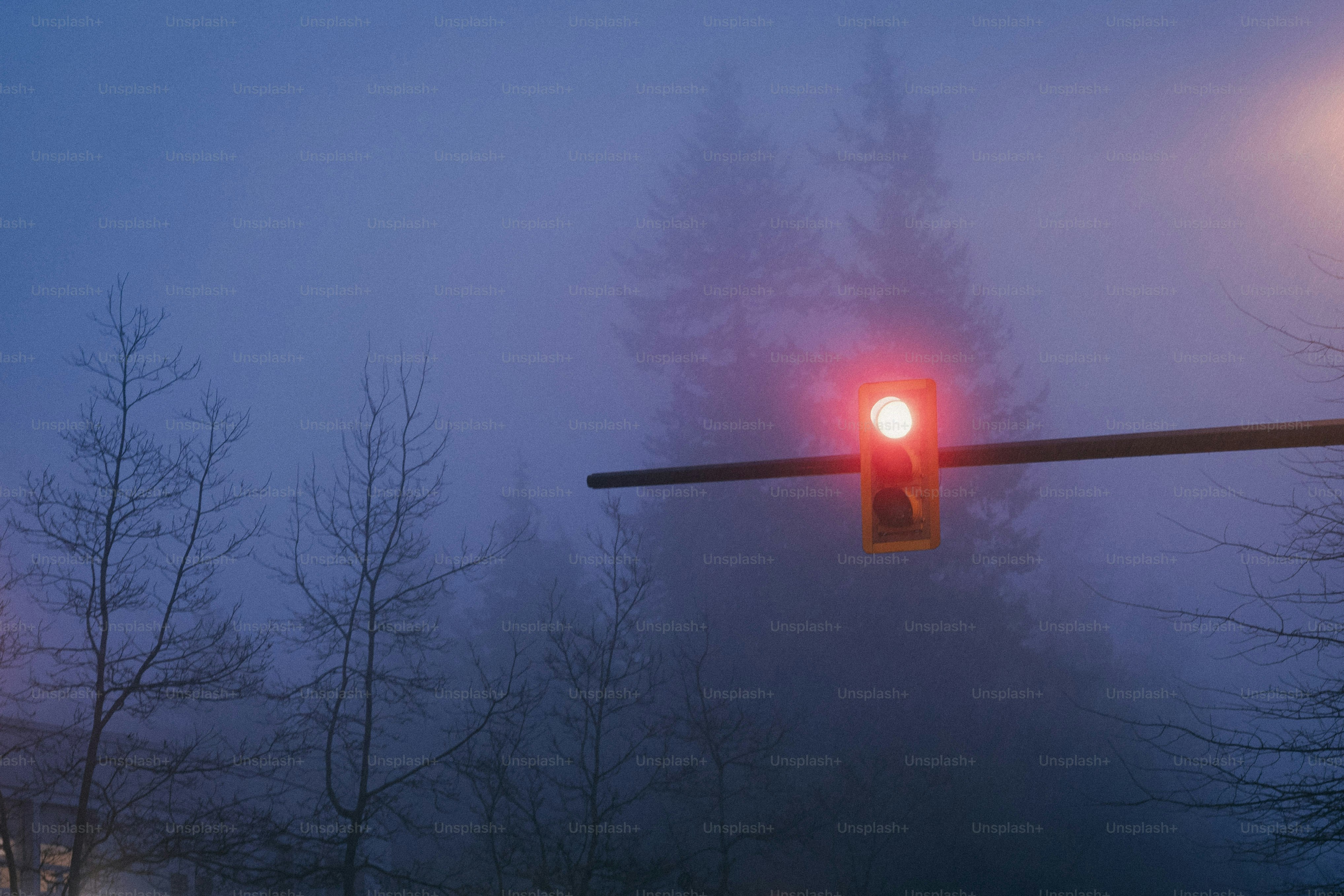 Red traffic light glows through dense fog.