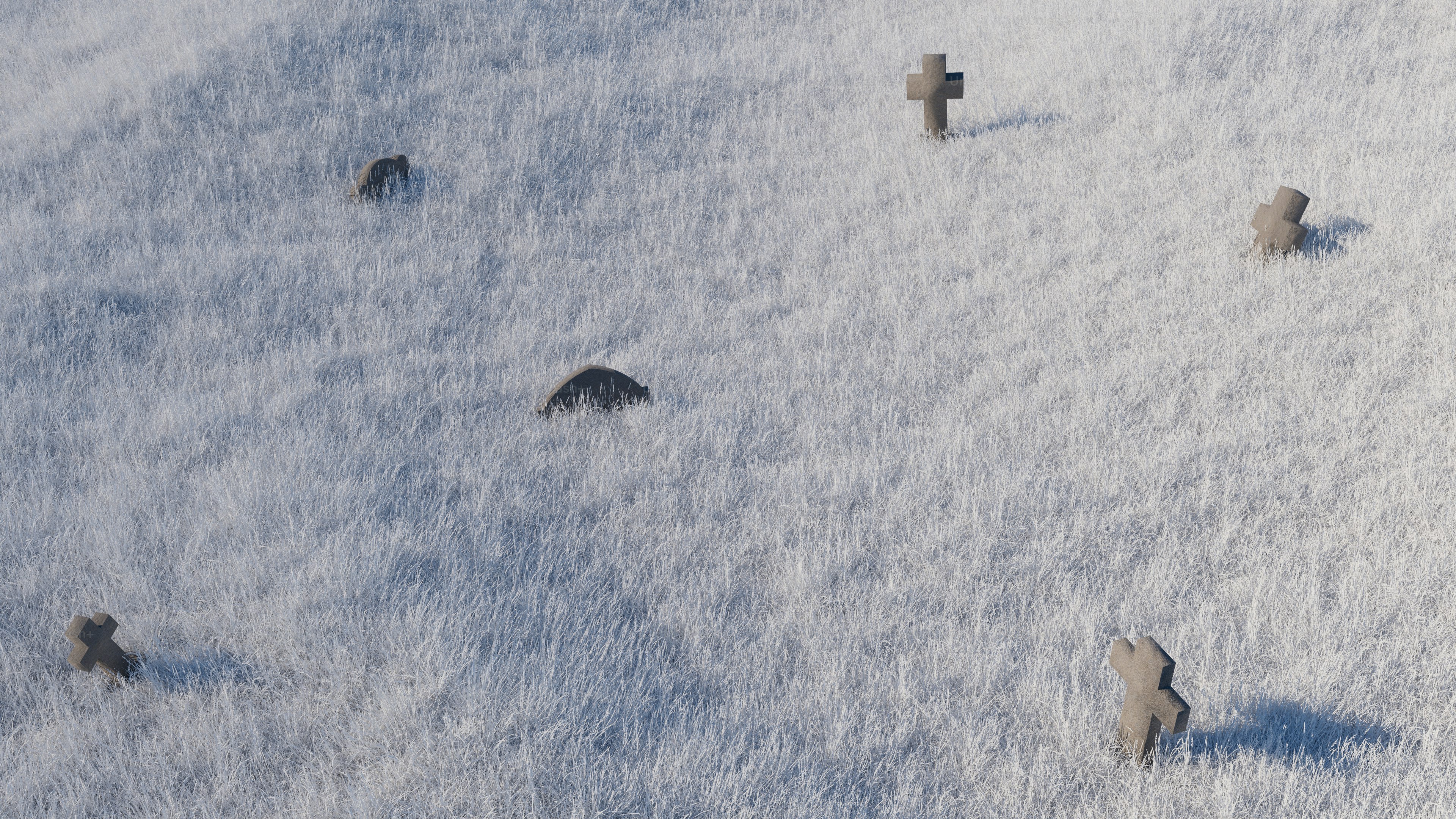 Small stone markers scattered on a snowy field