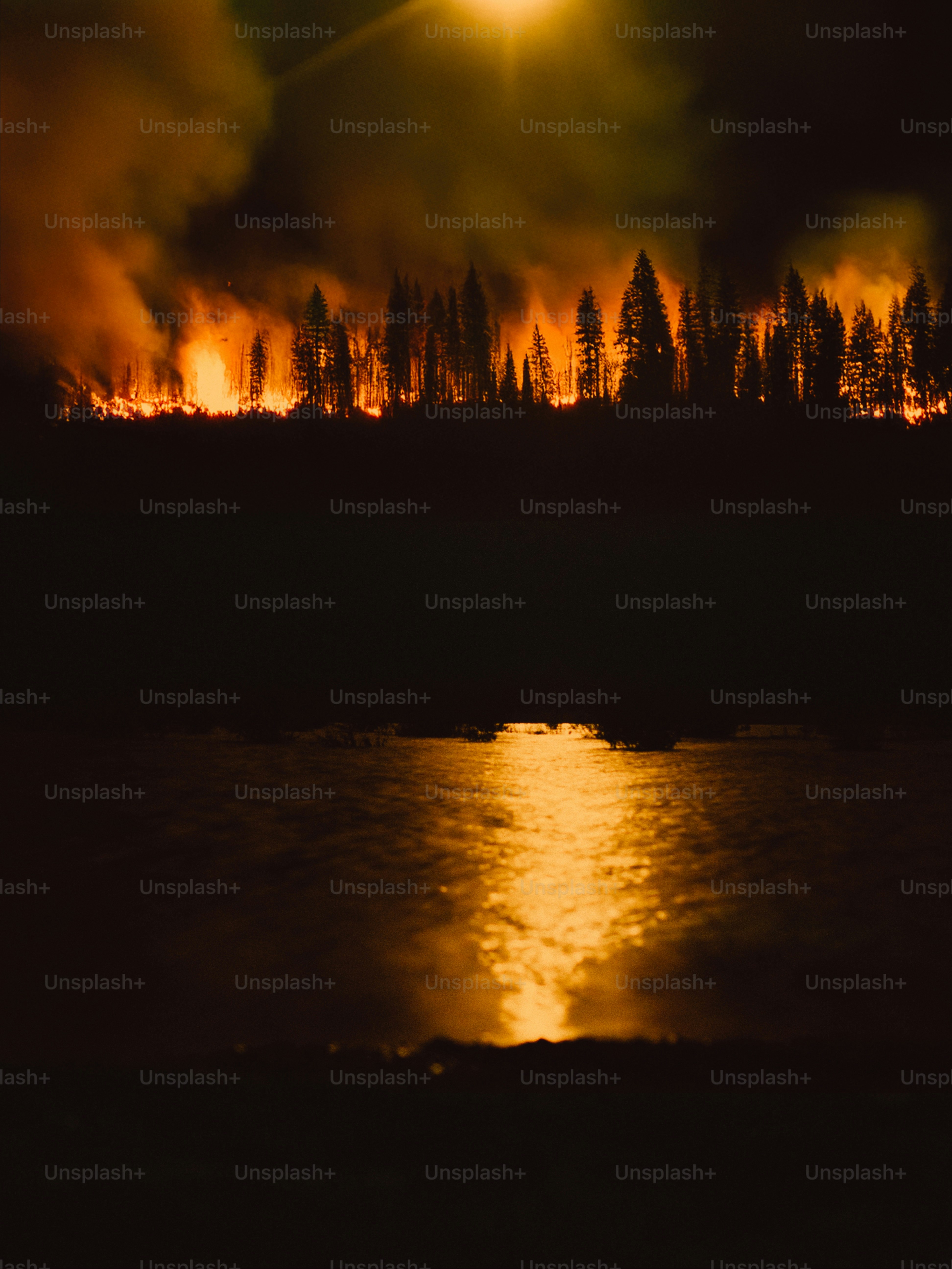 Forest fire at night reflected in water