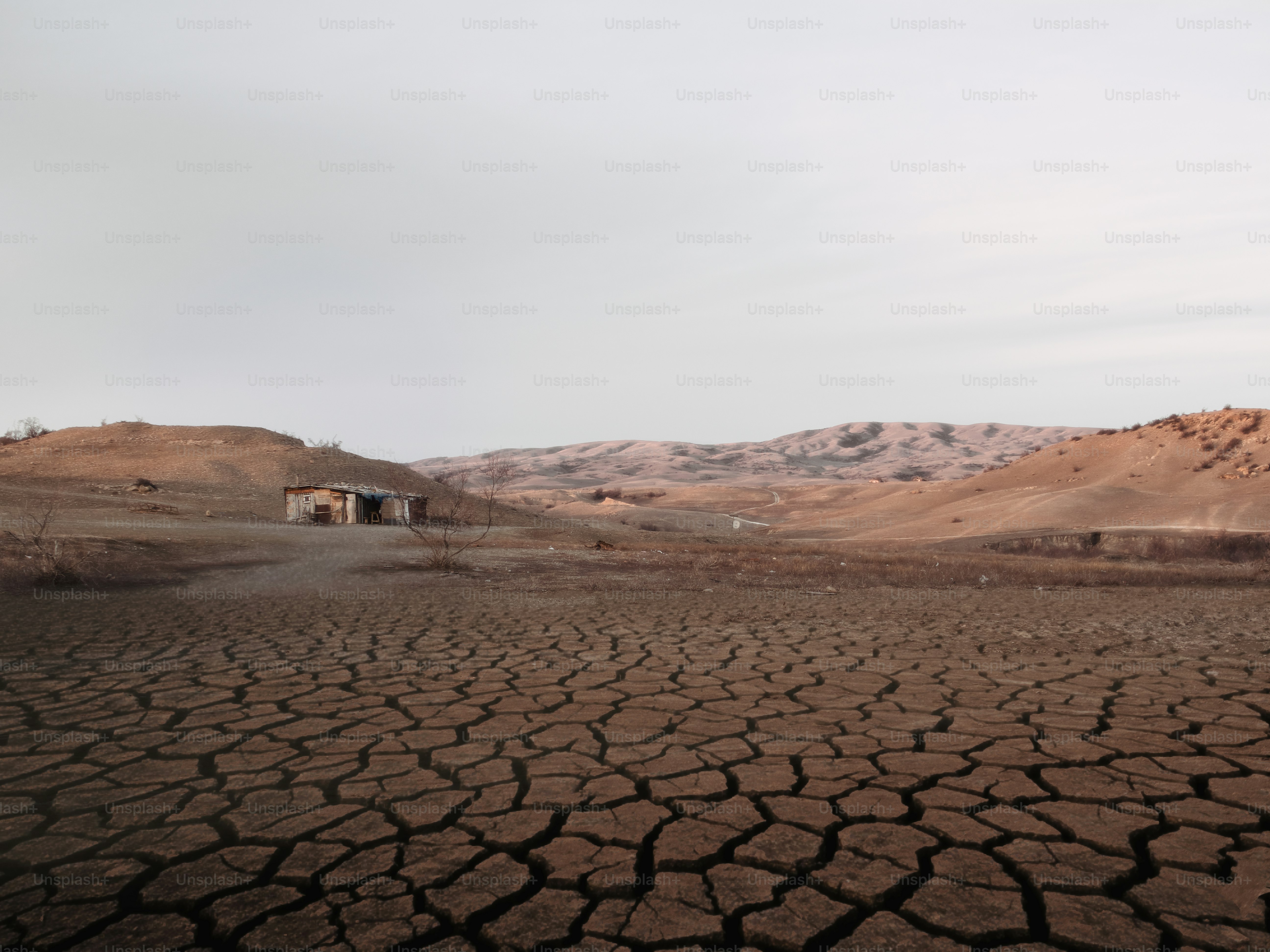 乾燥した荒涼とした風景のひび割れた大地と、遠くに建物が点在する。
