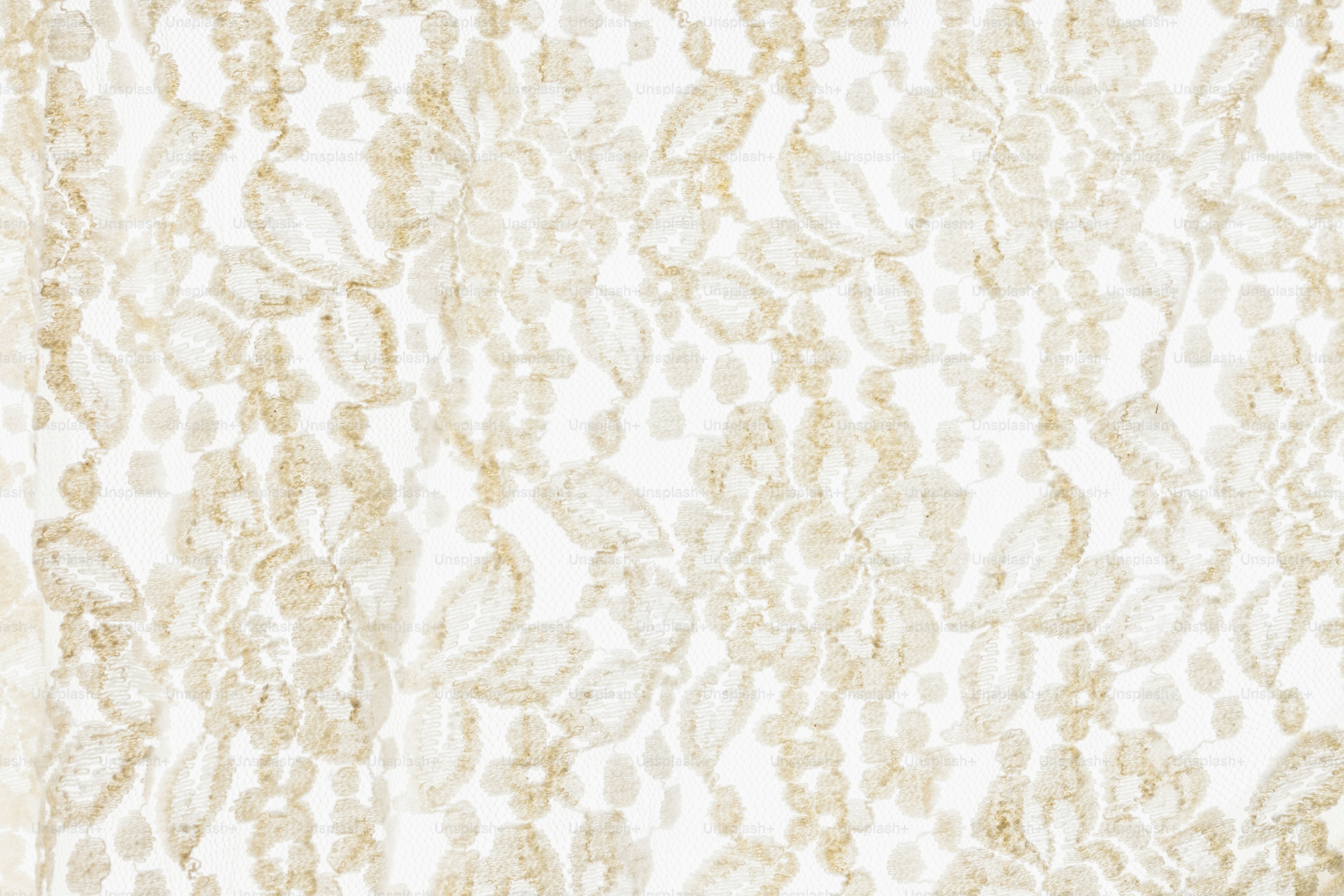 Delicate floral lace pattern with intricate details.