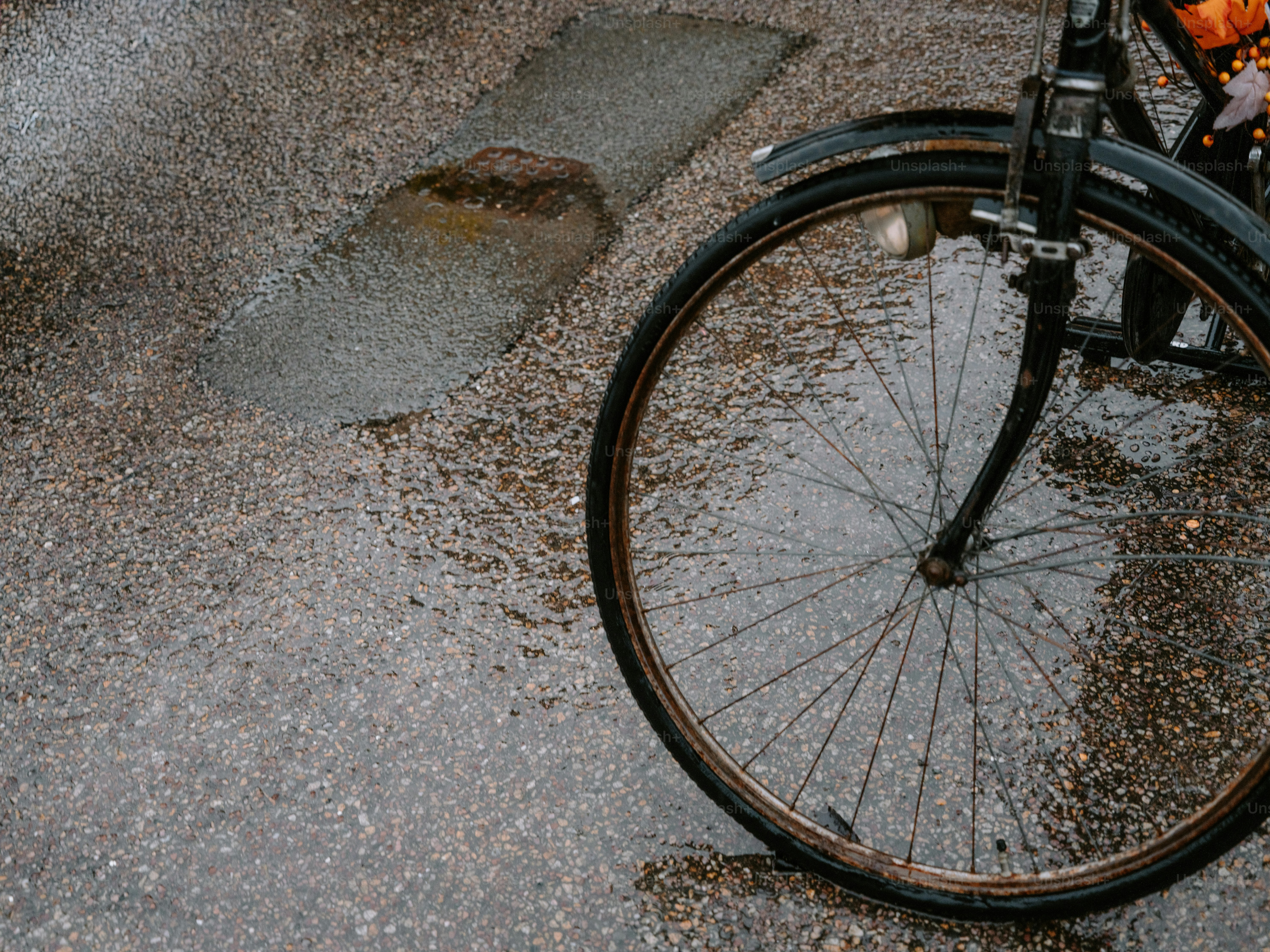 A bicycle wheel rests on a wet pavement.