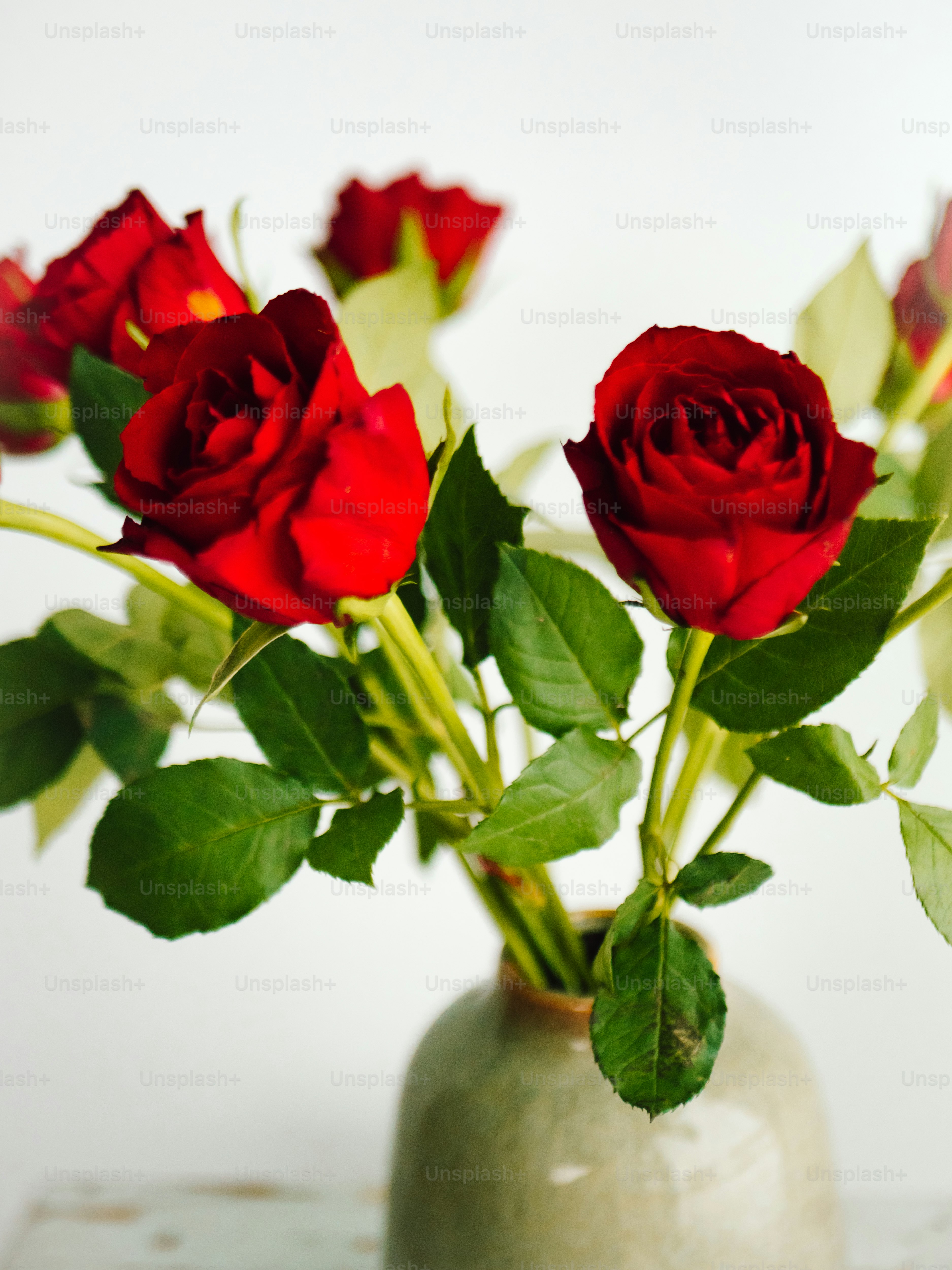 A bouquet of red roses in a vase photo – Flower Image on Unsplash
