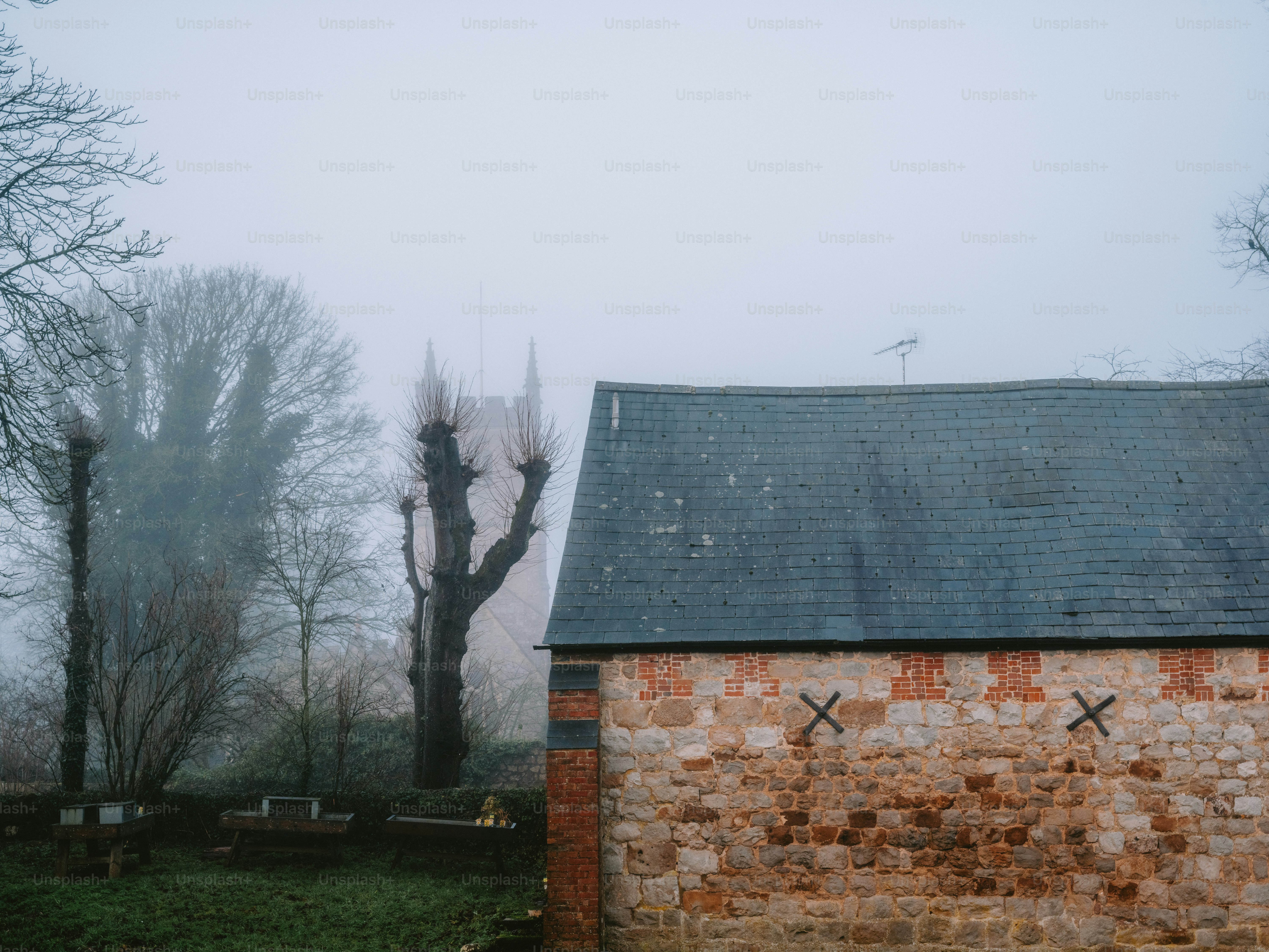 Barn and bare trees in foggy weather