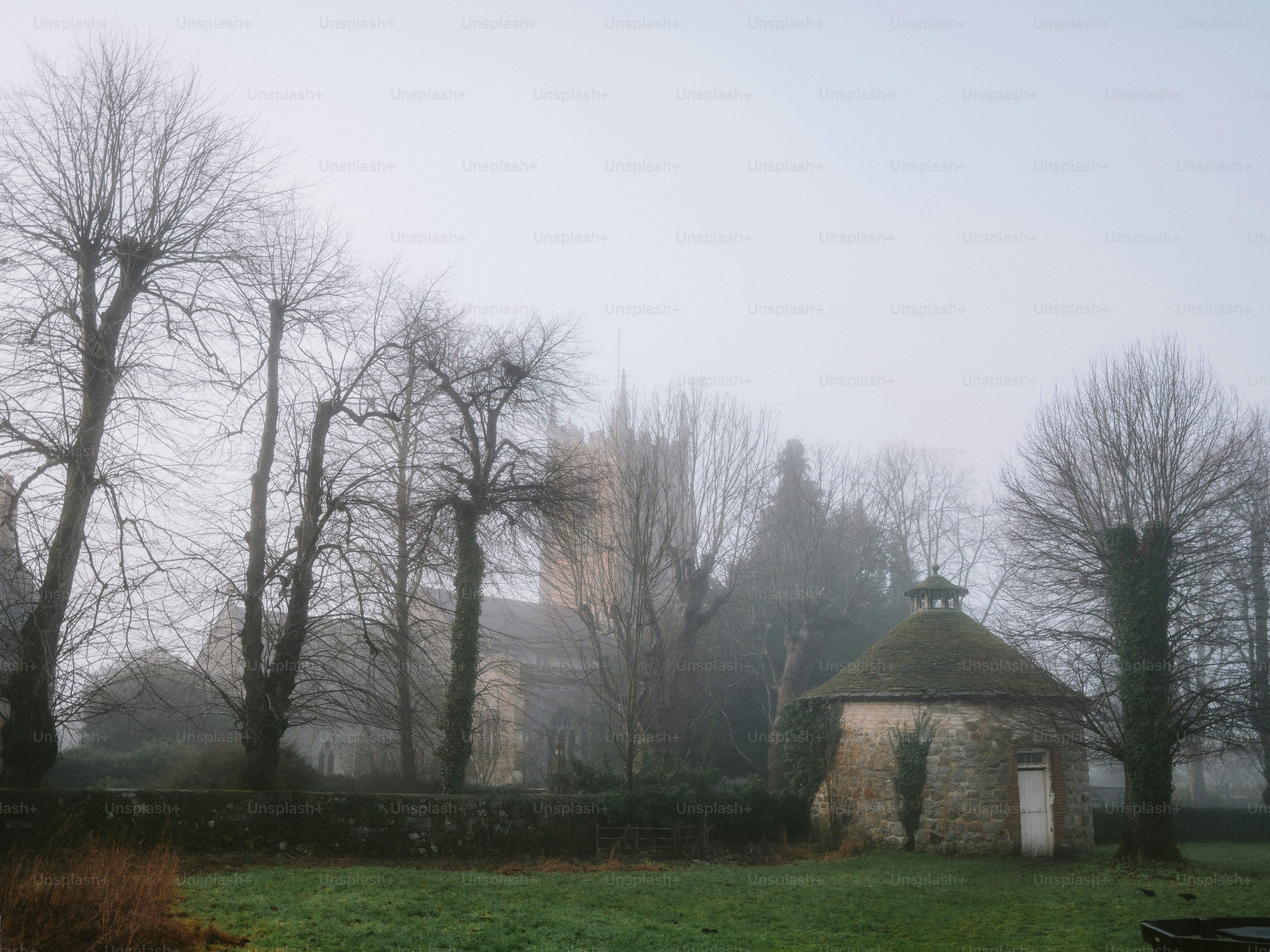 Bare trees and a small stone building in fog