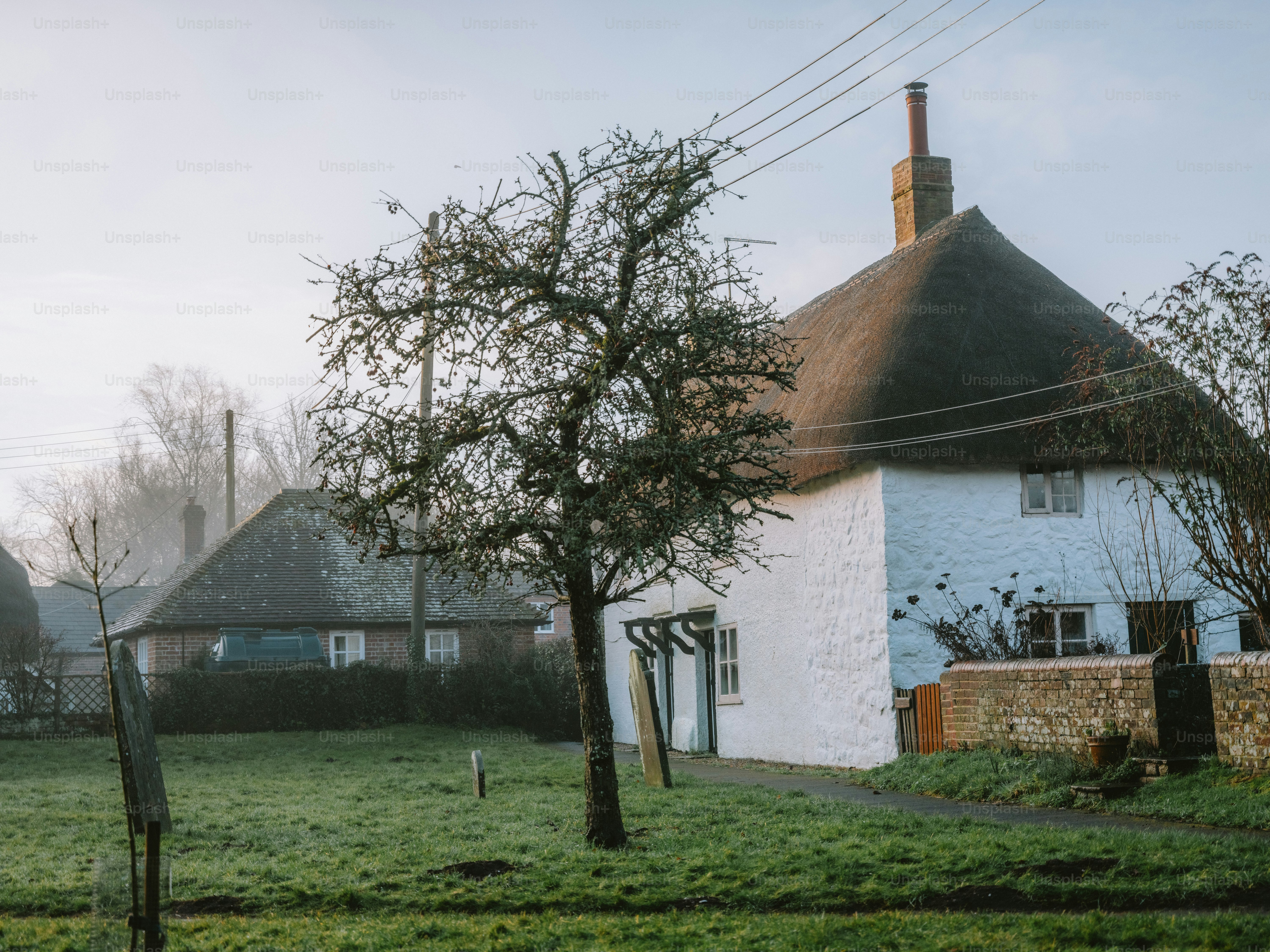 Thatched roof cottage with a bare tree in foreground